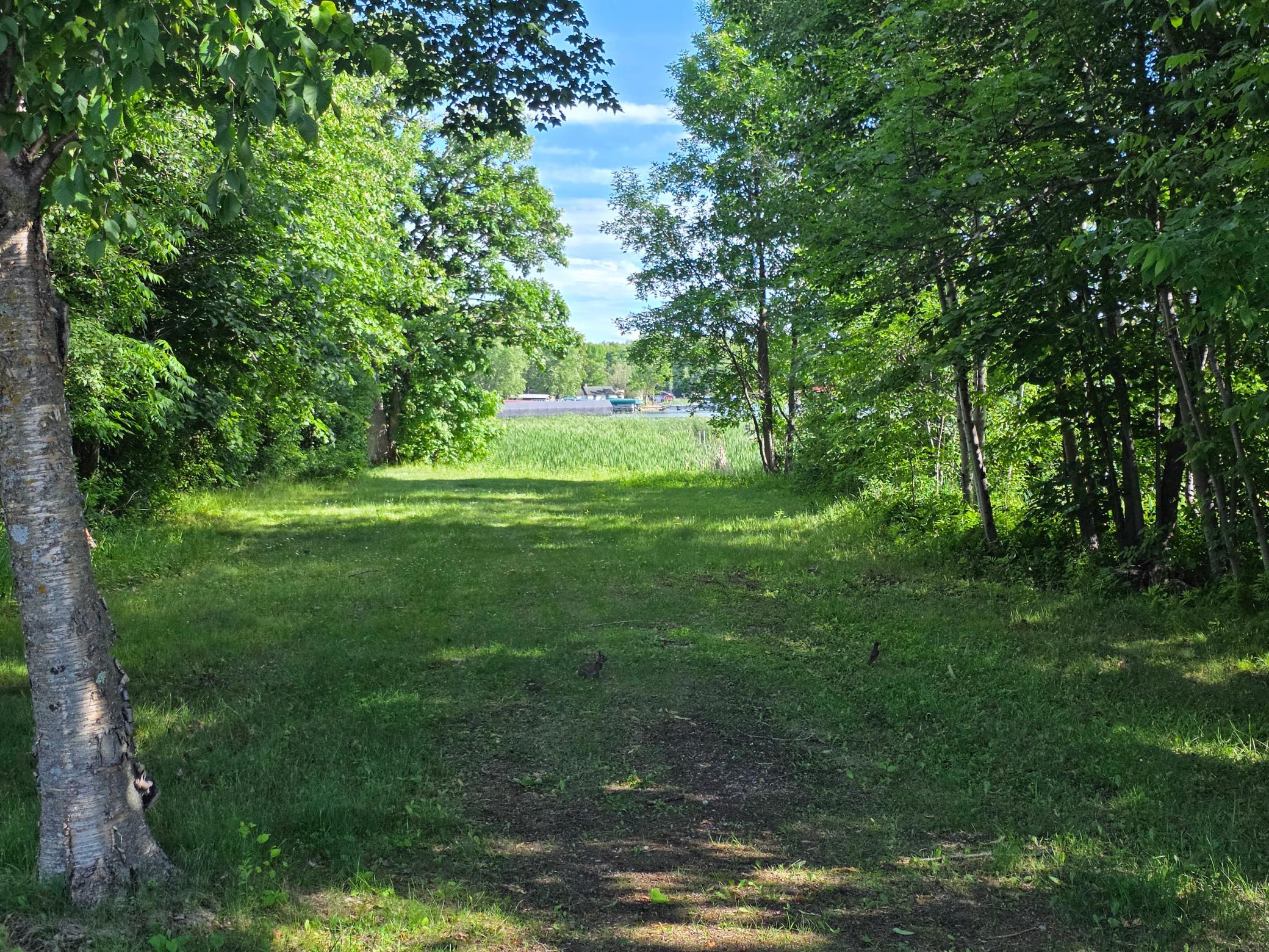 1290 Malone Park Road Property Photo 37