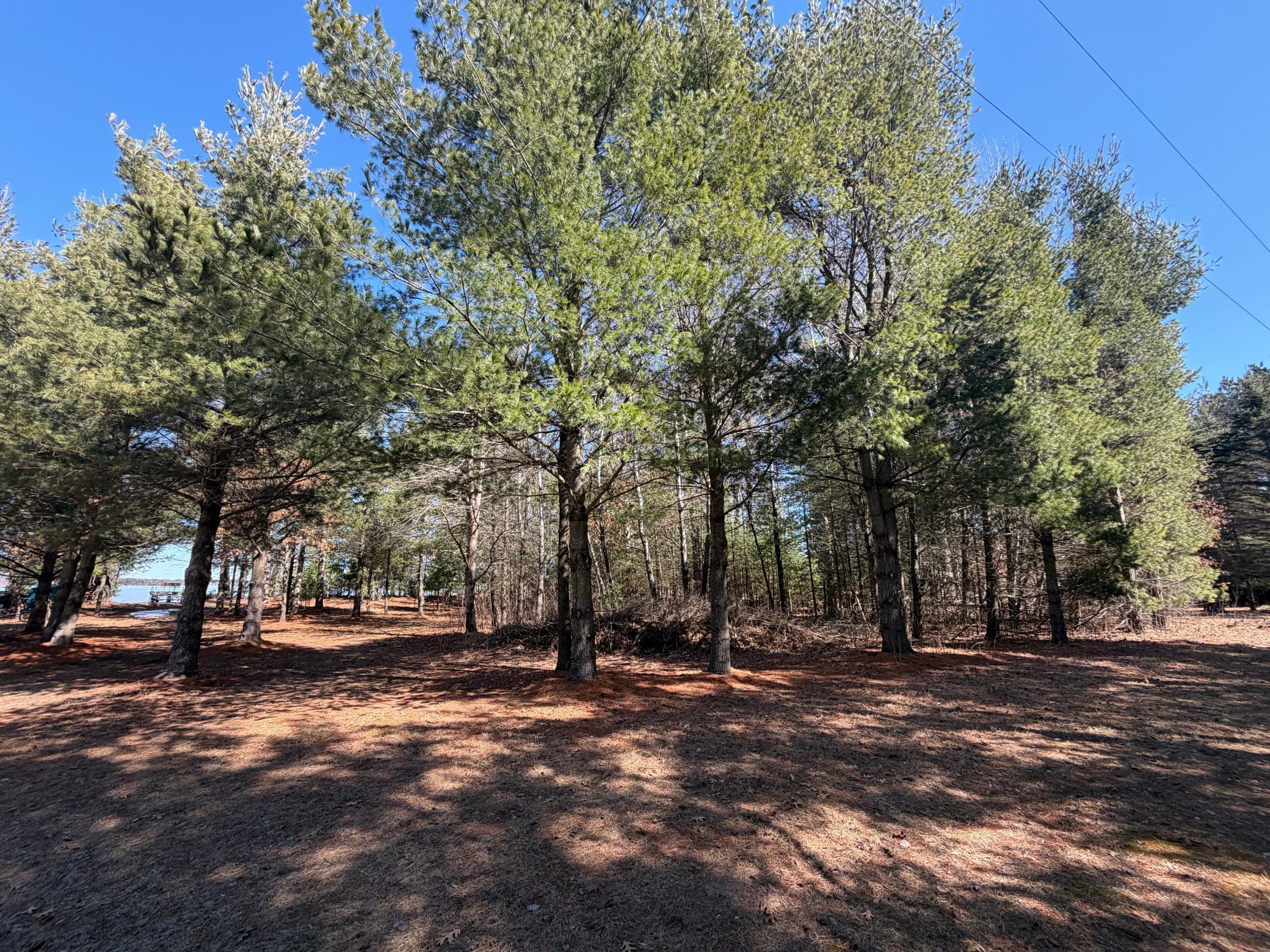 27102 Daniel Drive Property Photo 45