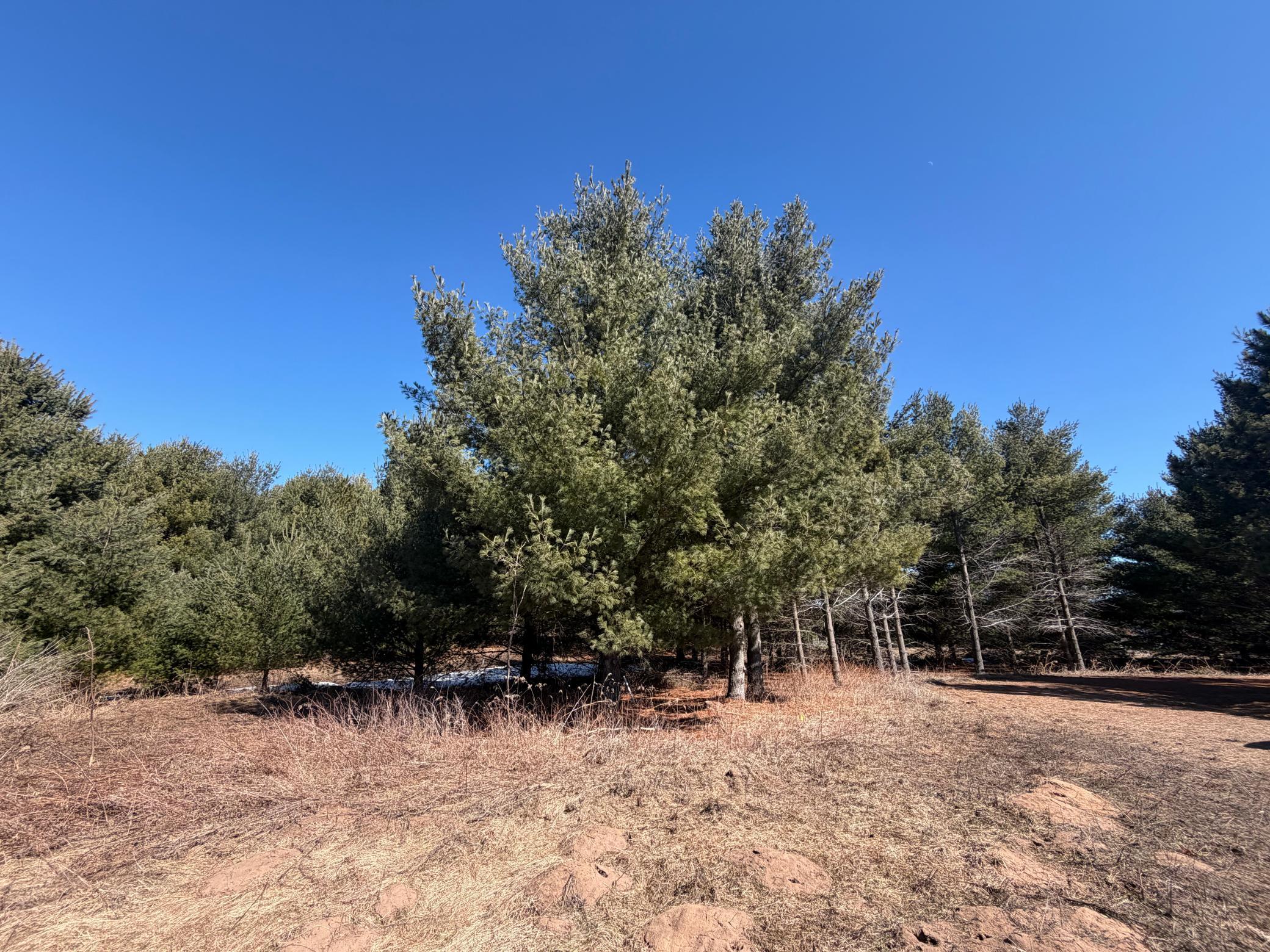 27102 Daniel Drive Property Photo 46