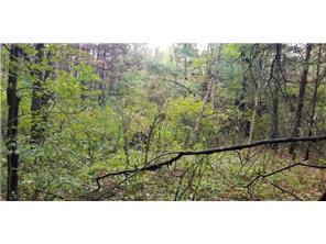 Lot 4 Paulsen Lake Lane Property Photo 6