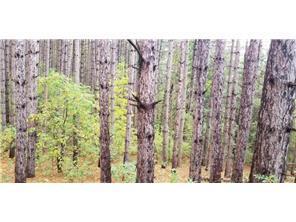 Lot 4 Paulsen Lake Lane Property Photo 7