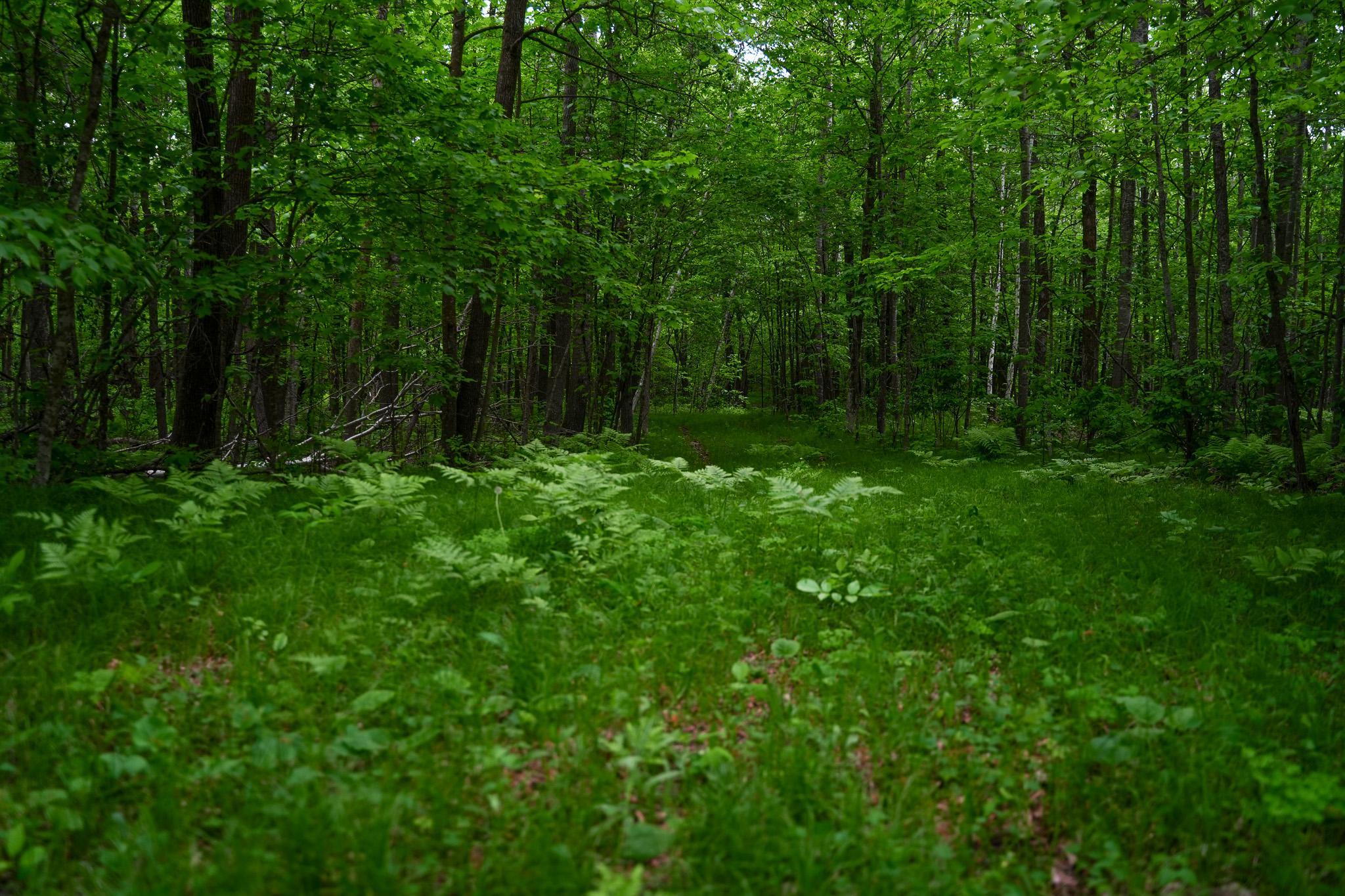 Tbd- 315th Avenue Property Photo 8