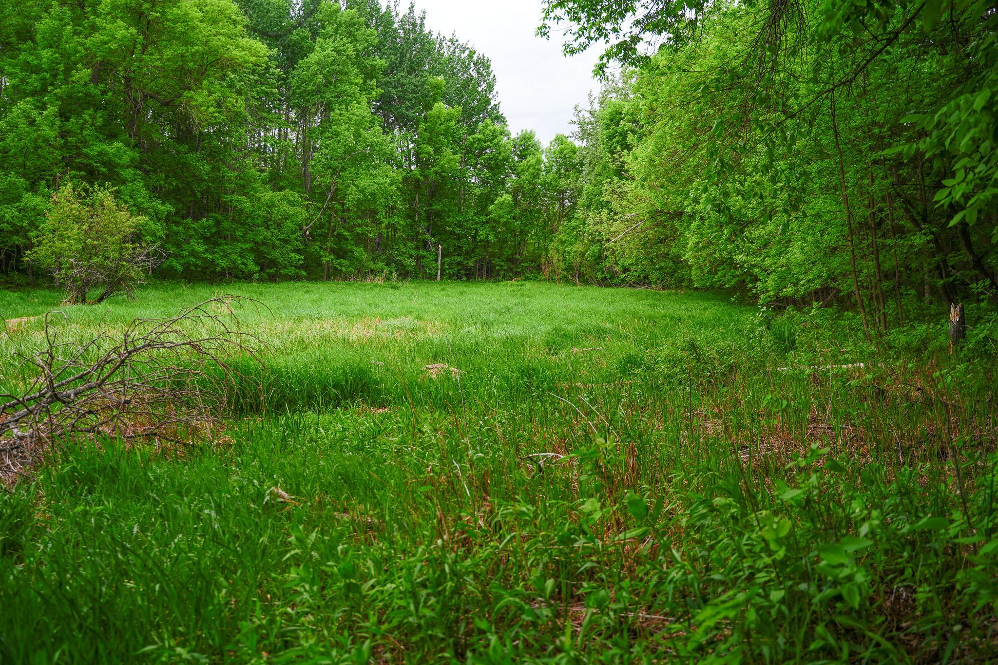 Tbd- 315th Avenue Property Photo 10