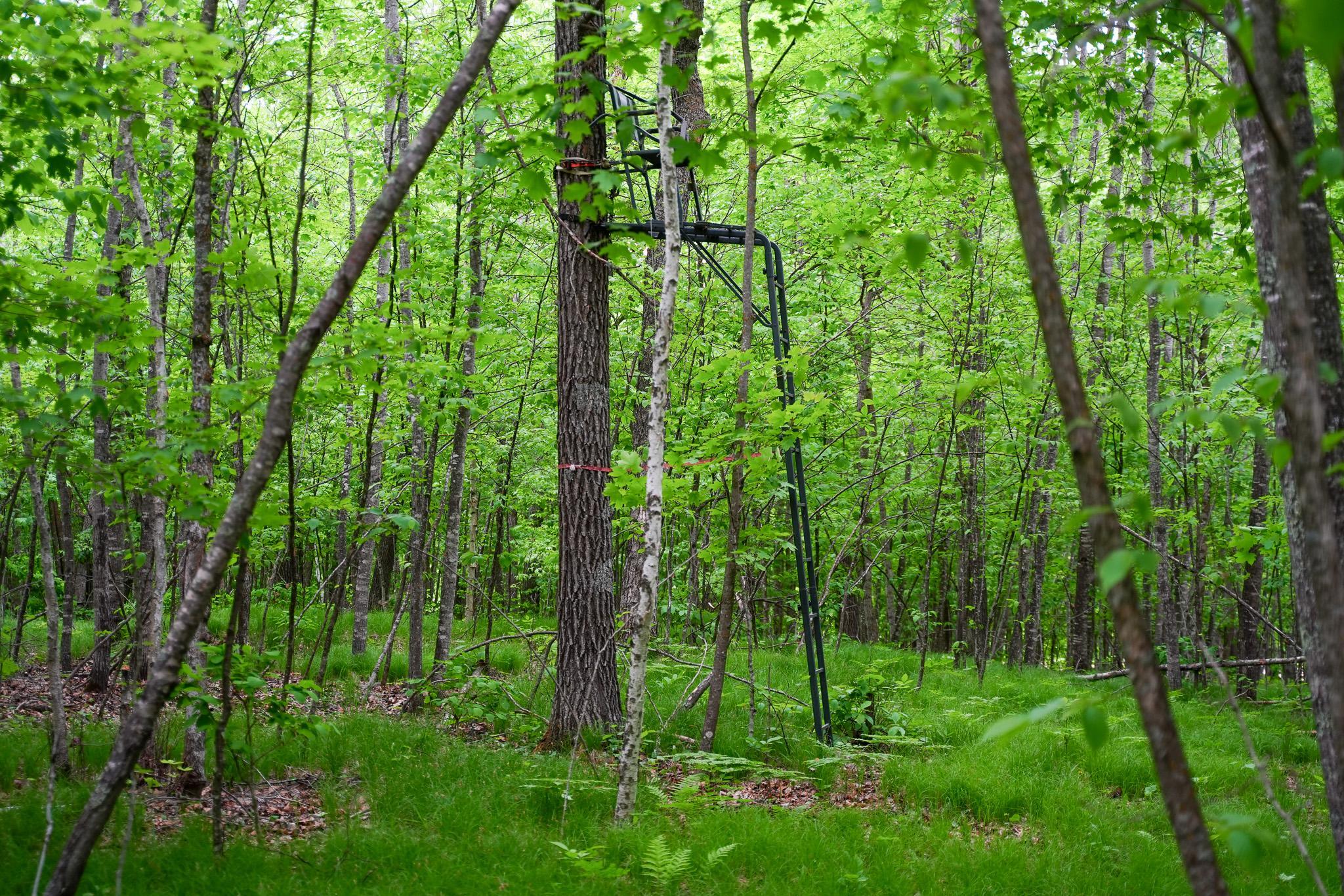 Tbd- 315th Avenue Property Photo 16