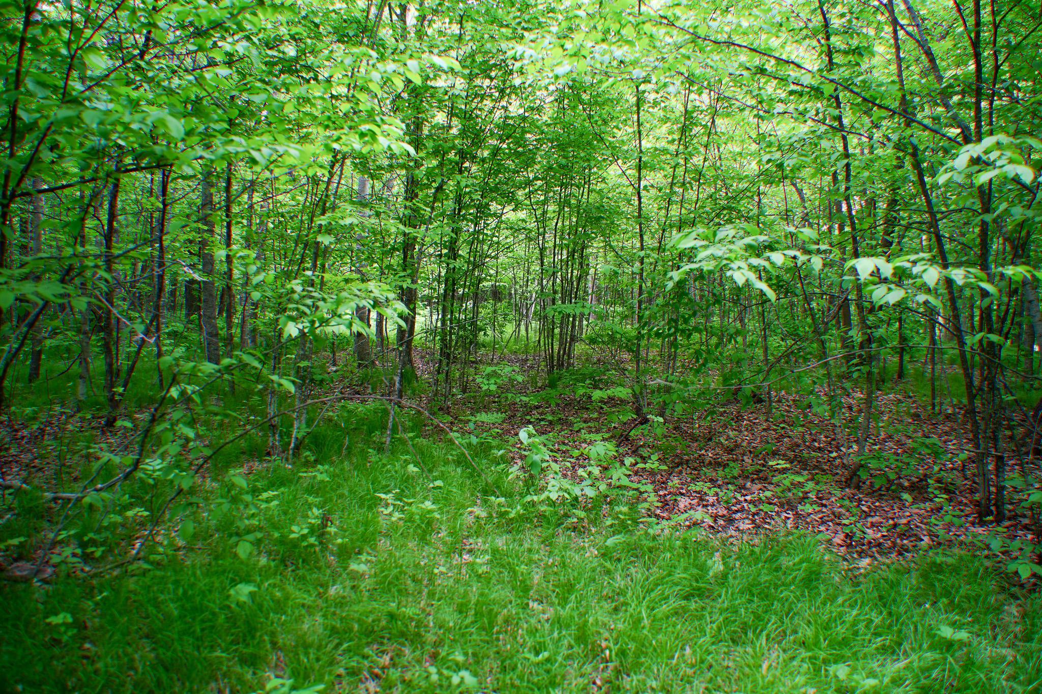 Tbd- 315th Avenue Property Photo 21