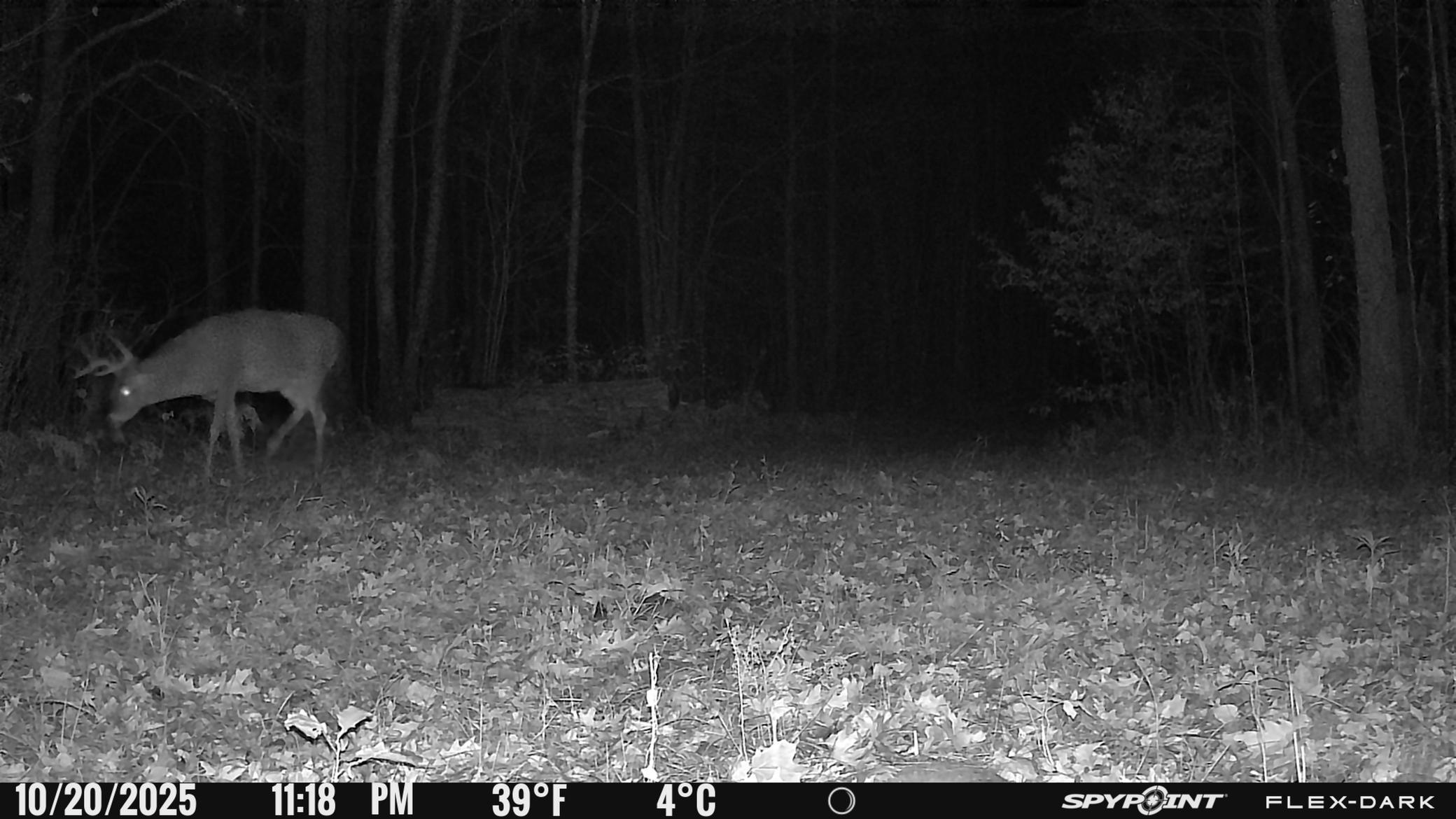 Tbd- 315th Avenue Property Photo 25
