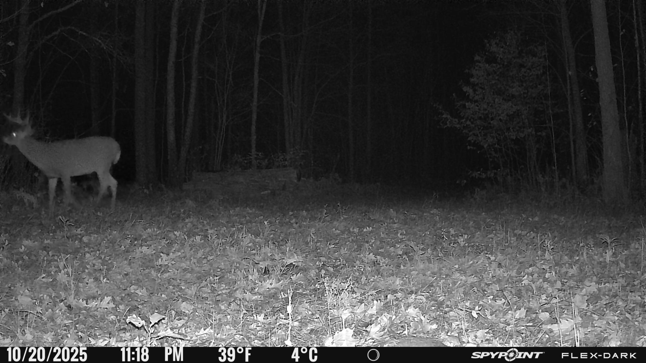 Tbd- 315th Avenue Property Photo 26