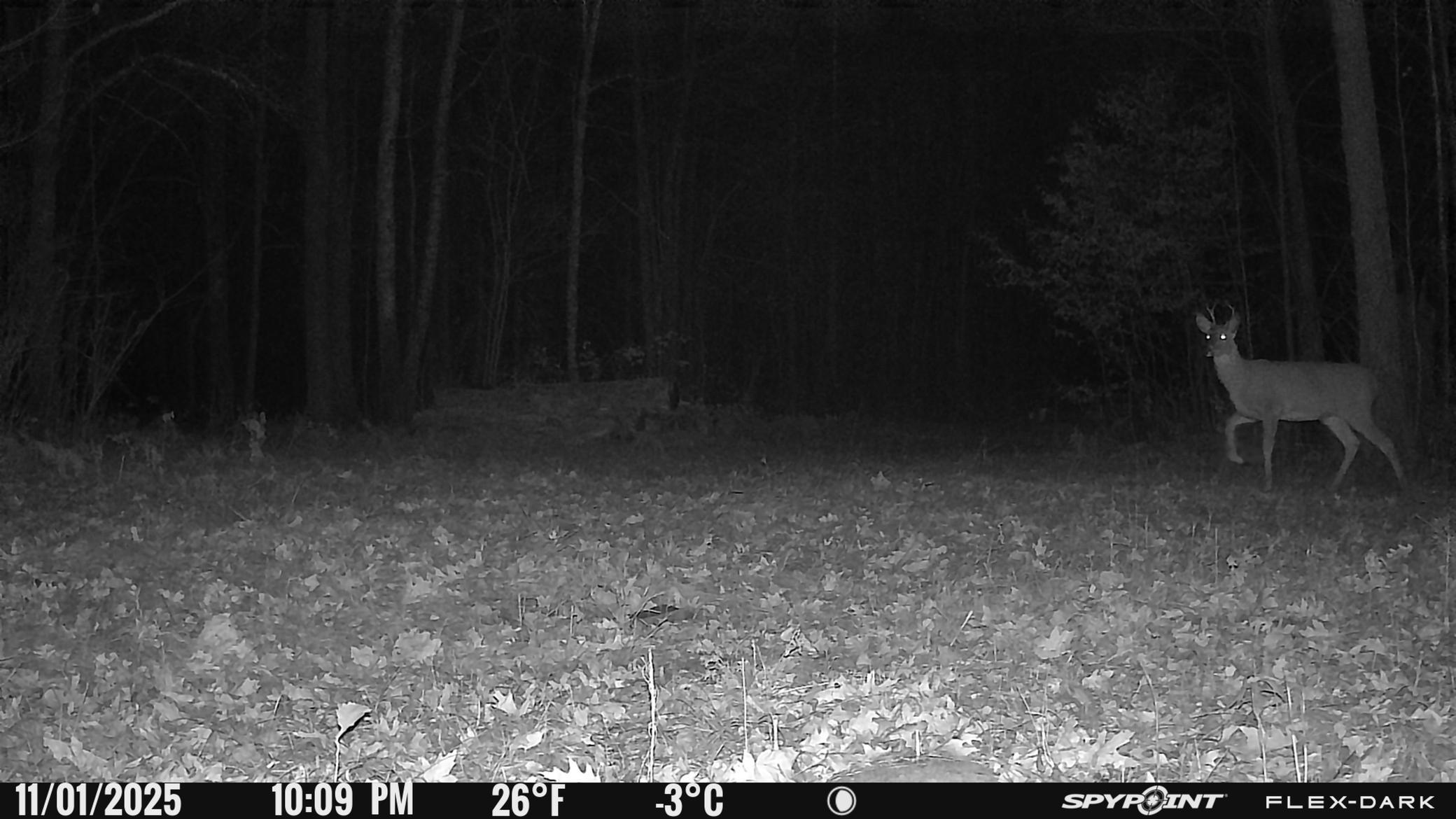 Tbd- 315th Avenue Property Photo 37