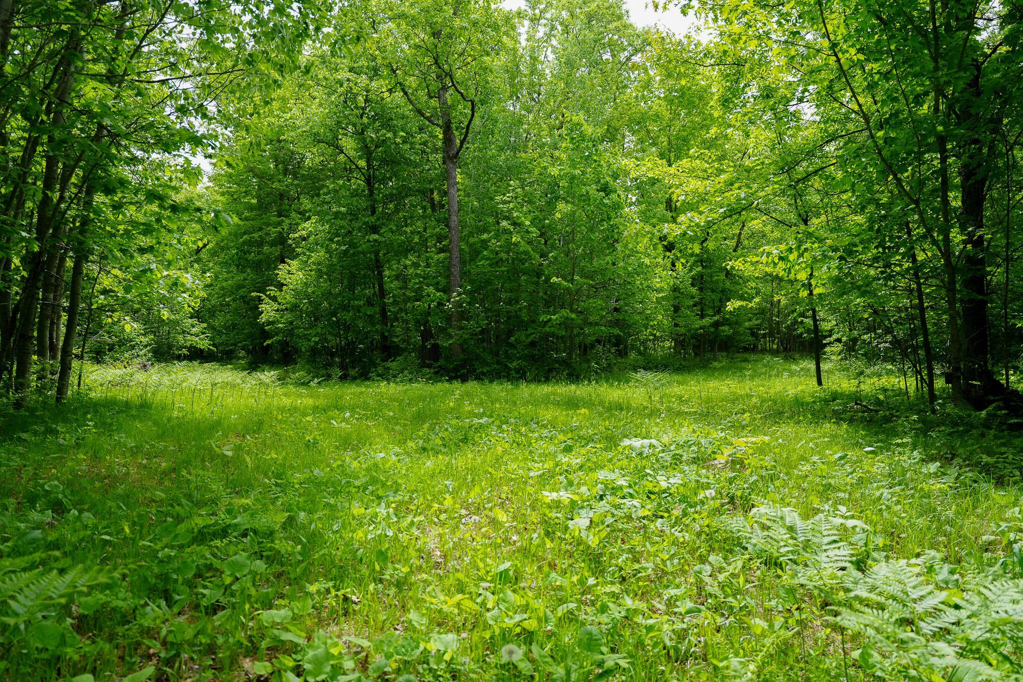 Tbd 315th Avenue Property Photo 12