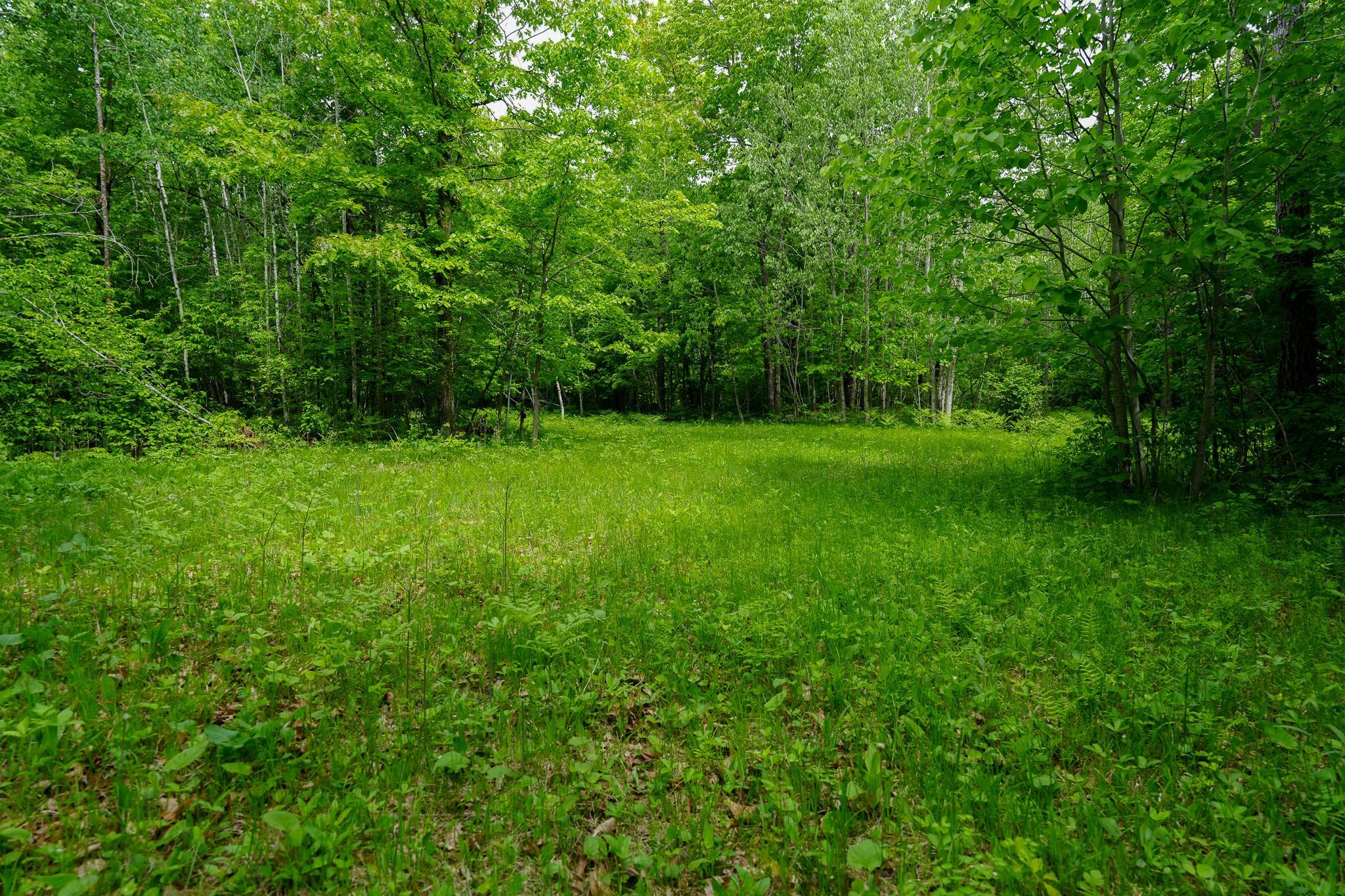 Tbd 315th Avenue Property Photo 13