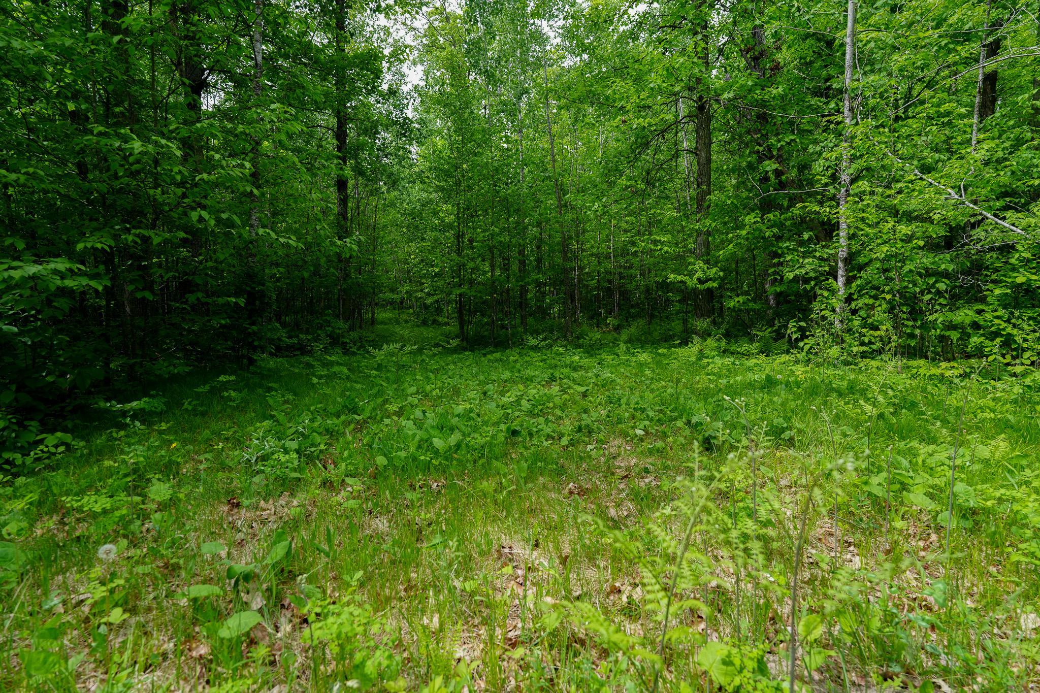 Tbd 315th Avenue Property Photo 14