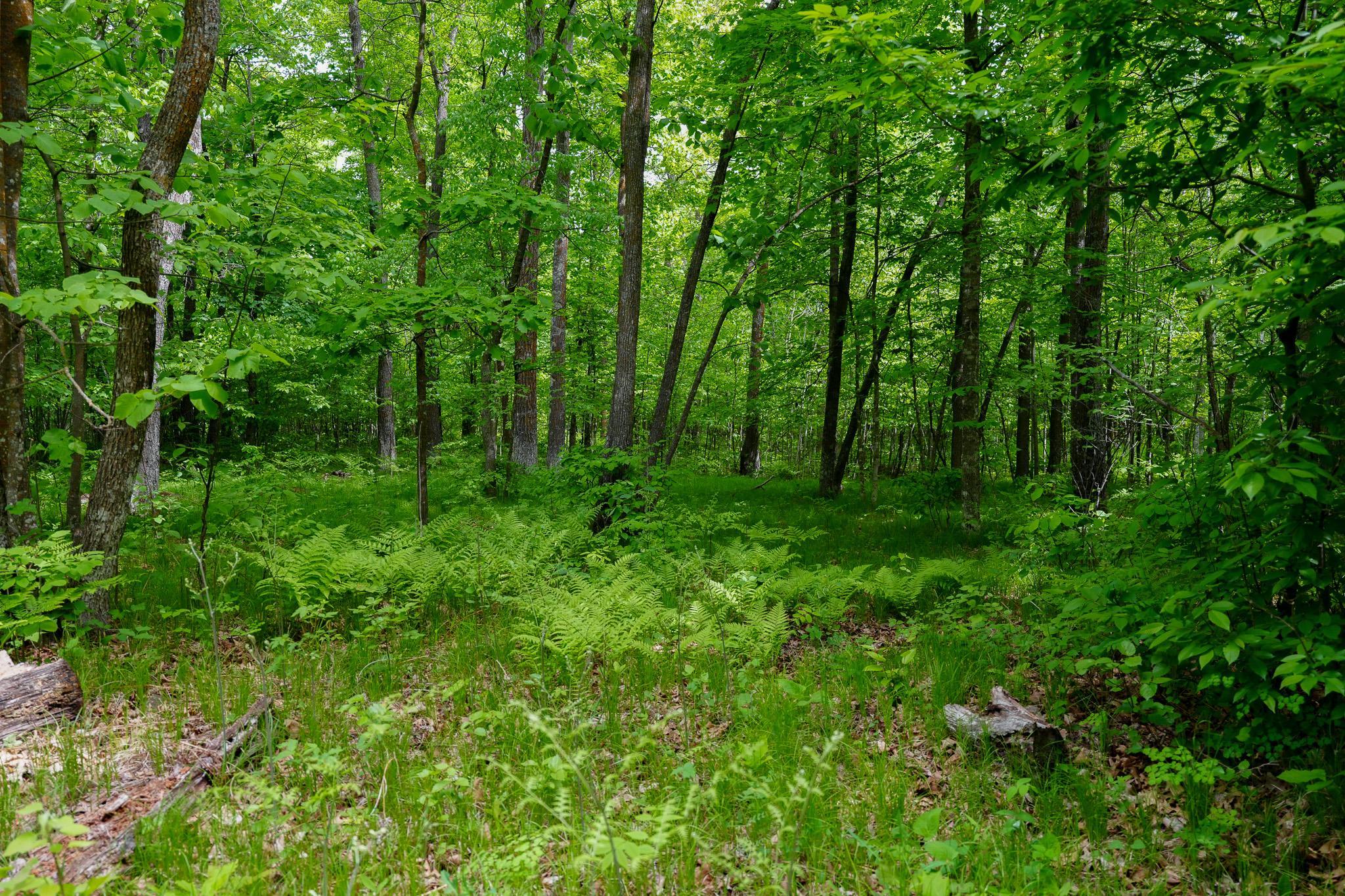 Tbd 315th Avenue Property Photo 15