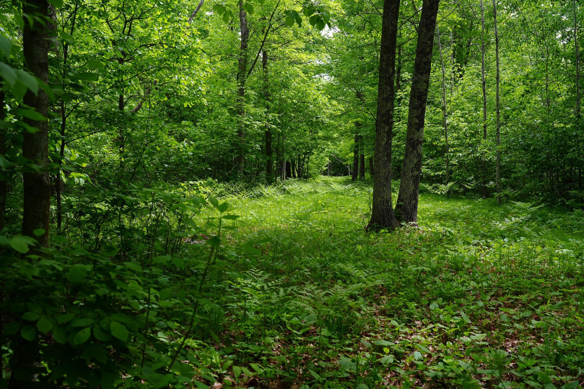 Tbd 315th Avenue Property Photo 17