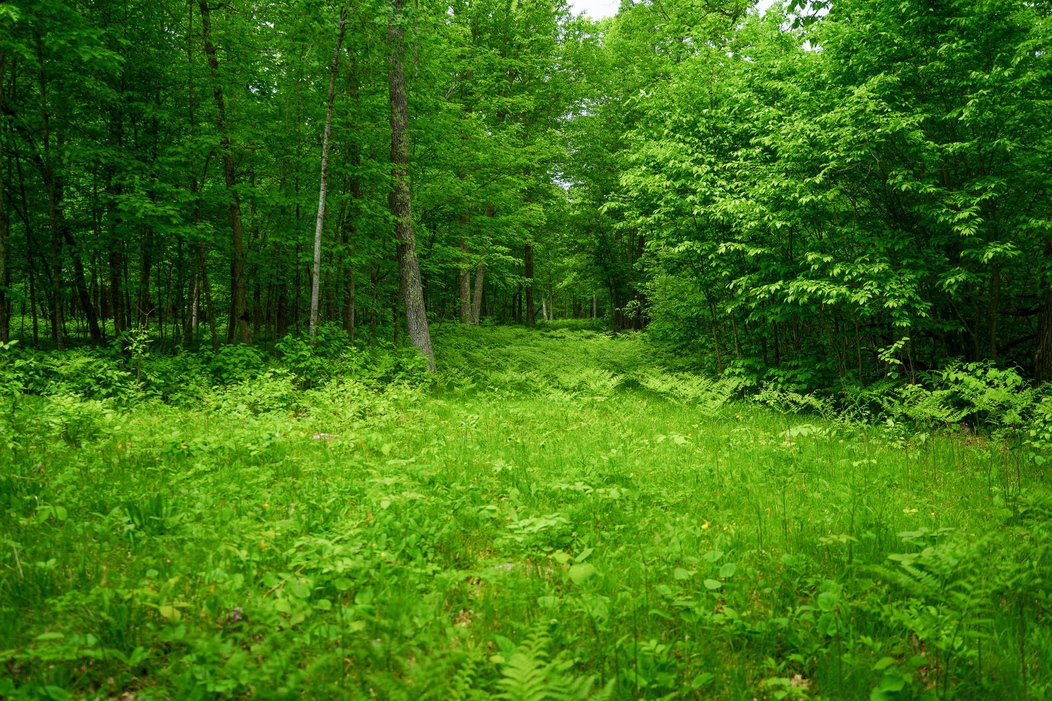 Tbd 315th Avenue Property Photo 22