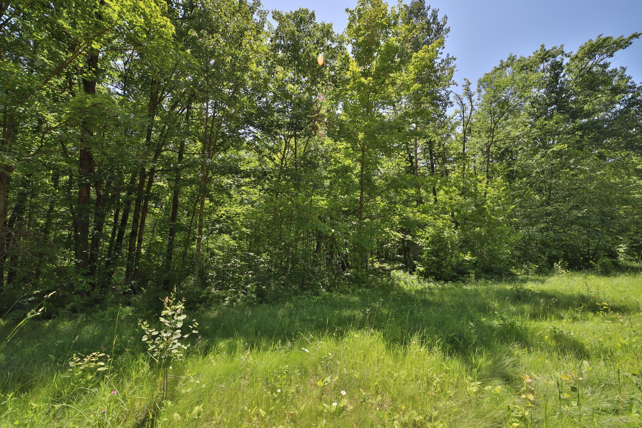 Tract C Olander Road Property Photo 1