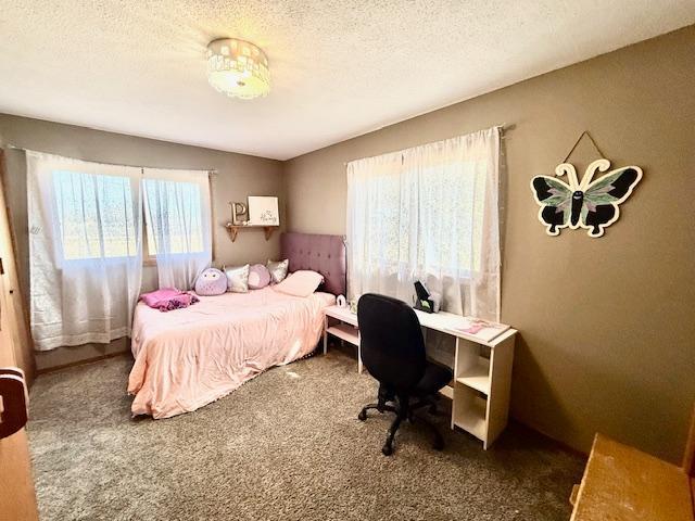 475 E Csah 10 Property Photo 29