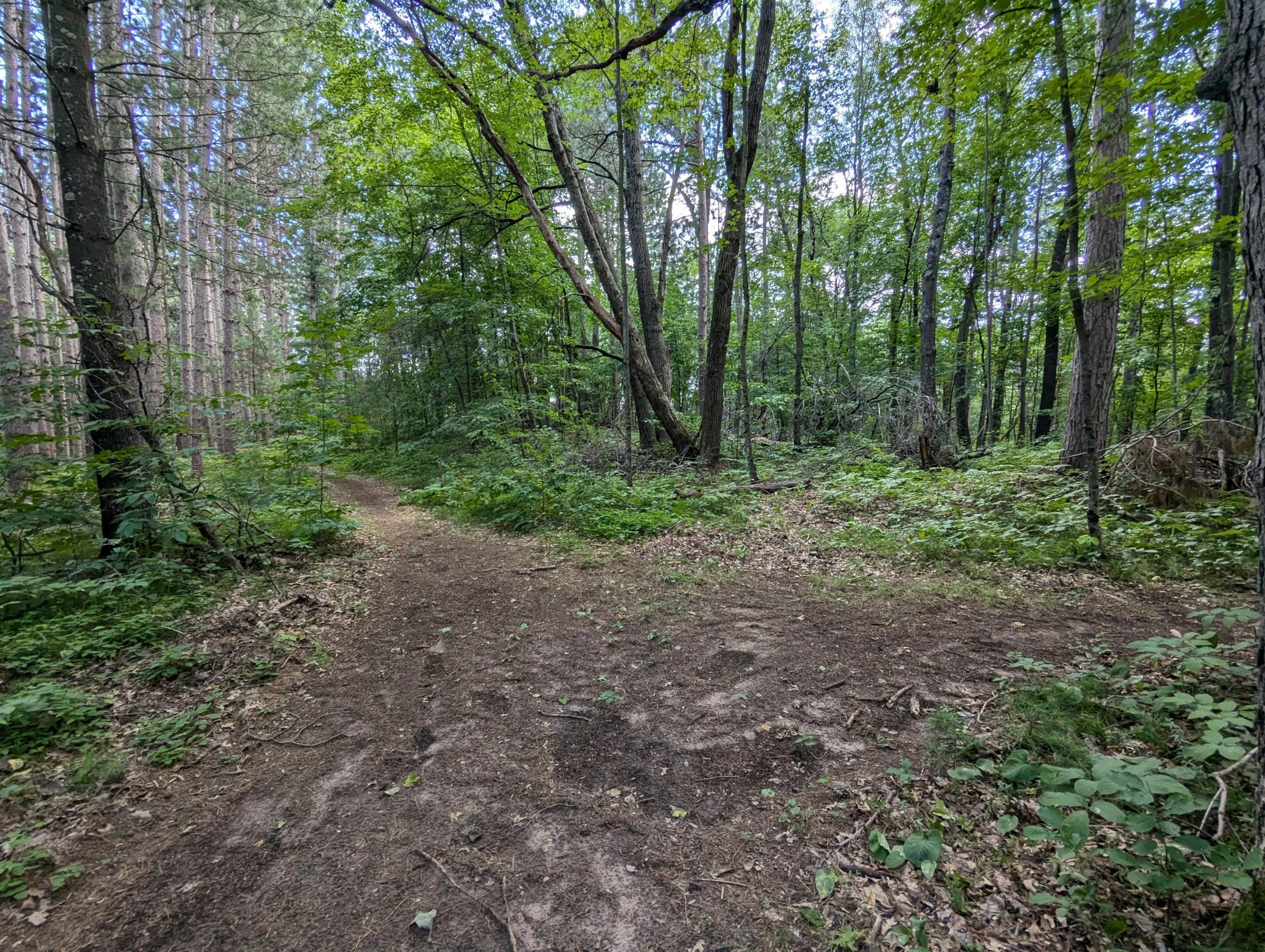 Lot 2 Fosmo Property Photo 1