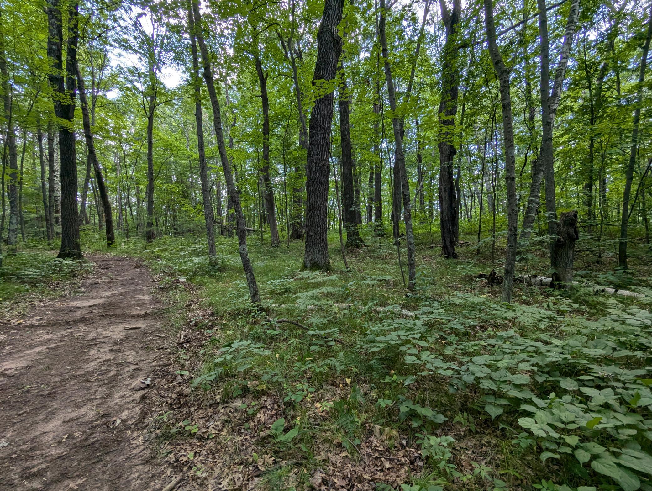 Lot 2 Fosmo Property Photo 6