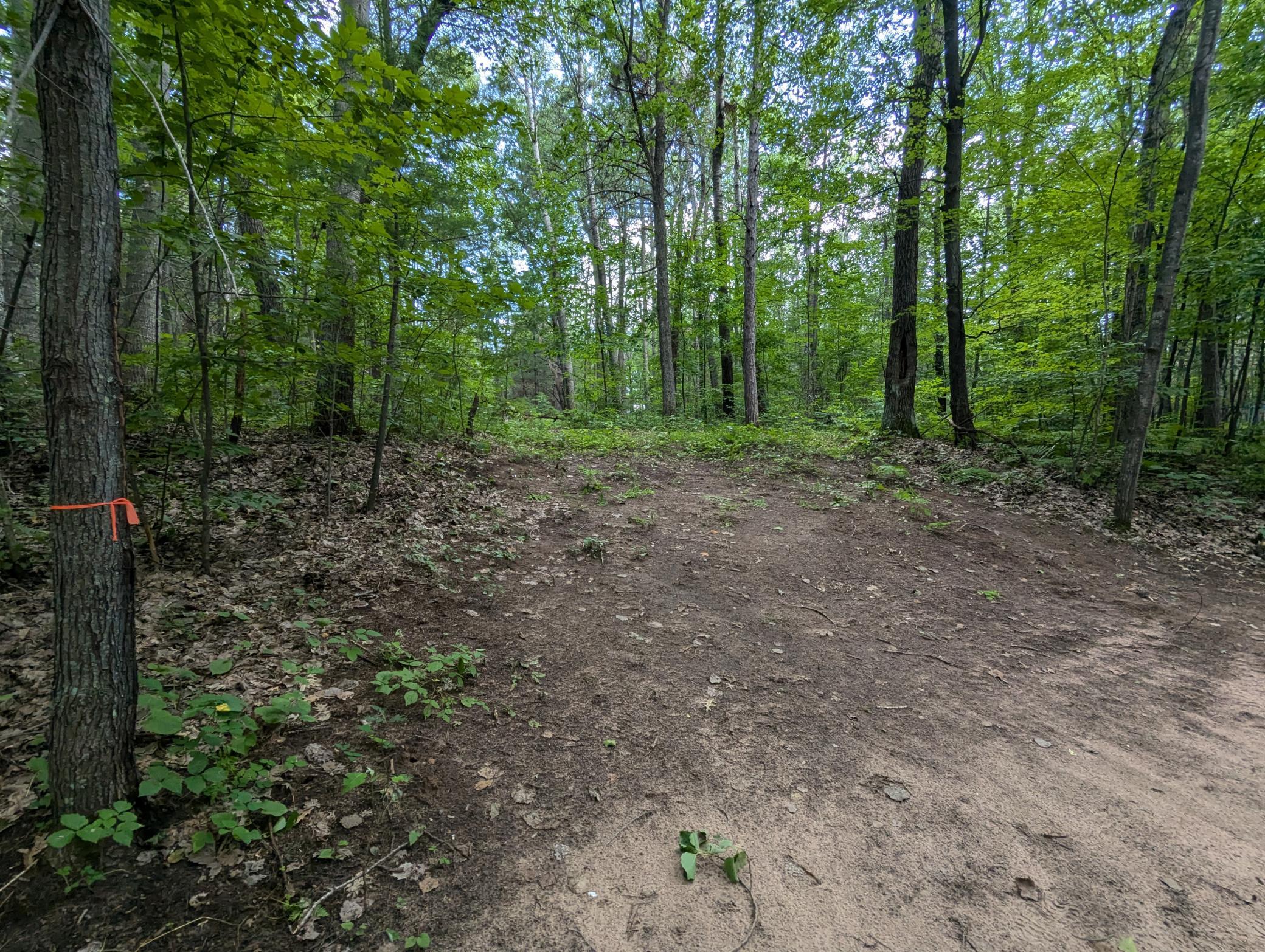 Lot 3 Fosmo Property Photo 2