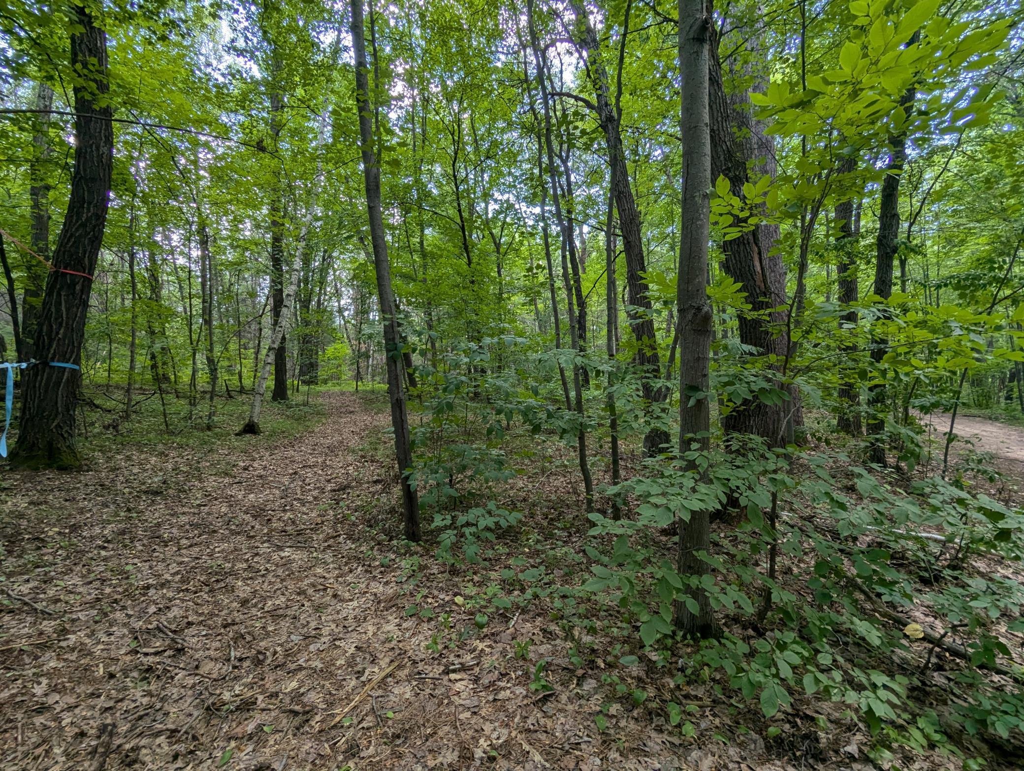 Lot 4 Fosmo Property Photo 1