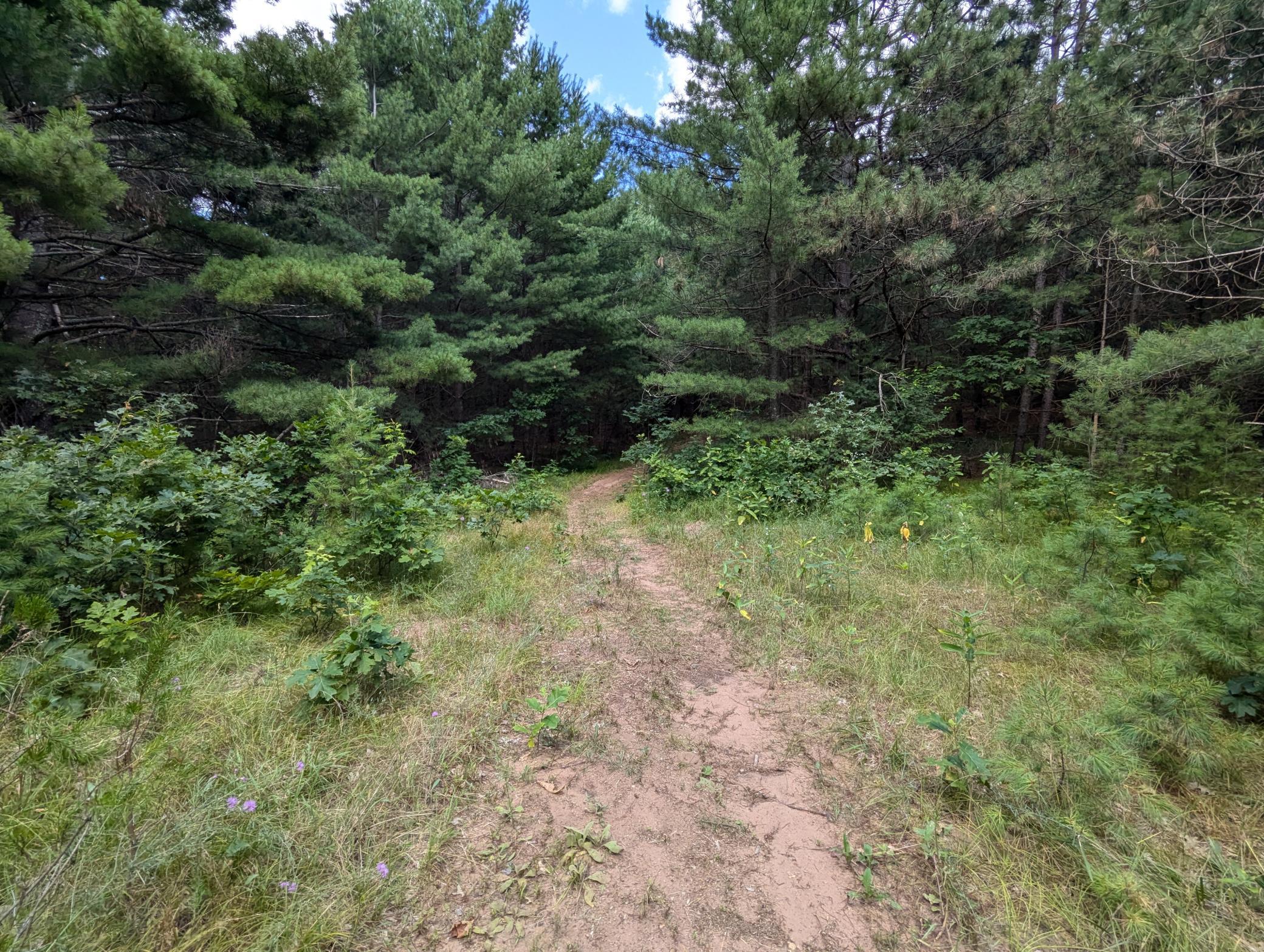 Lot 5 Fosmo Property Photo 1