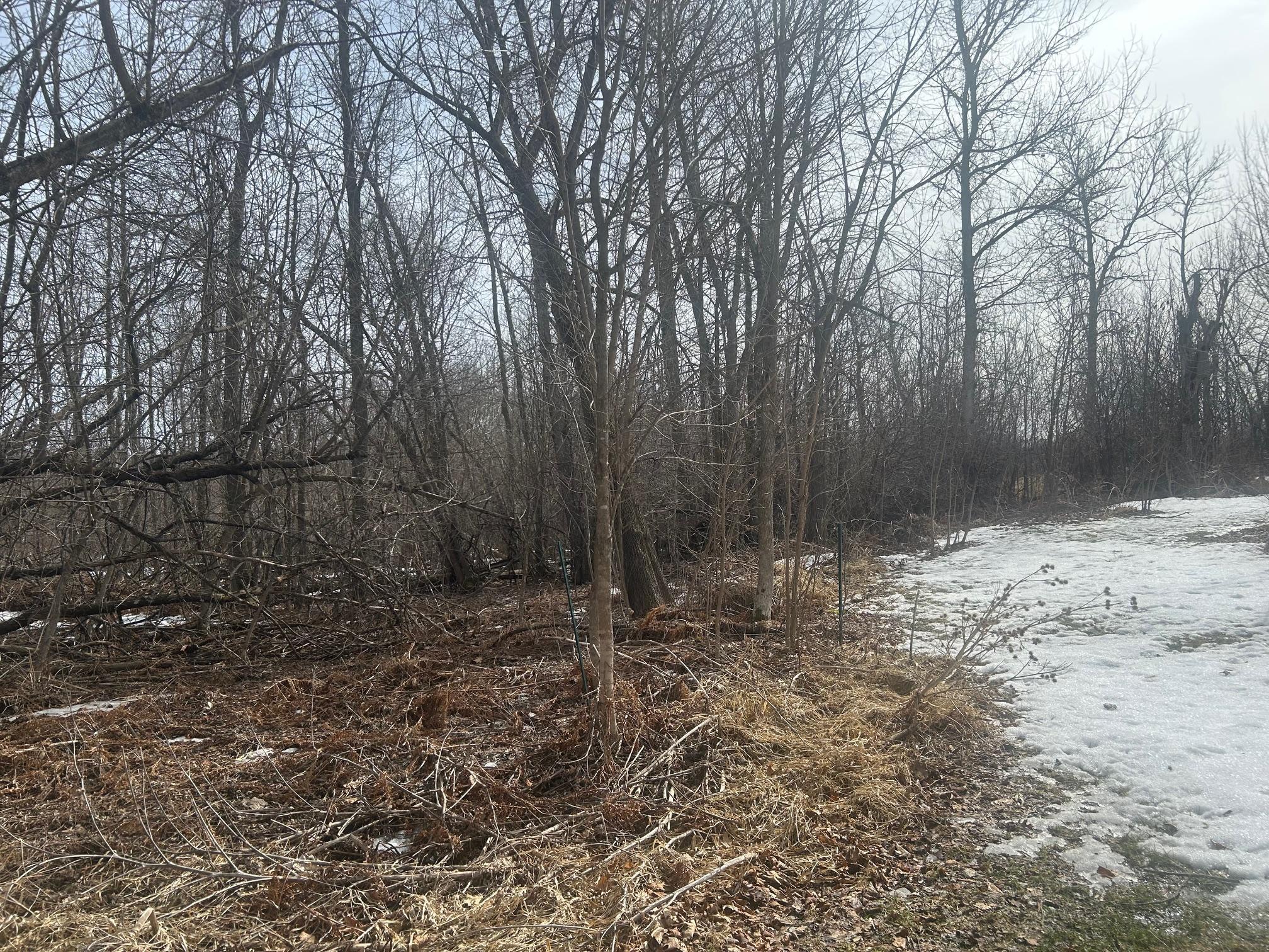 Tbd Tbd Property Photo 4