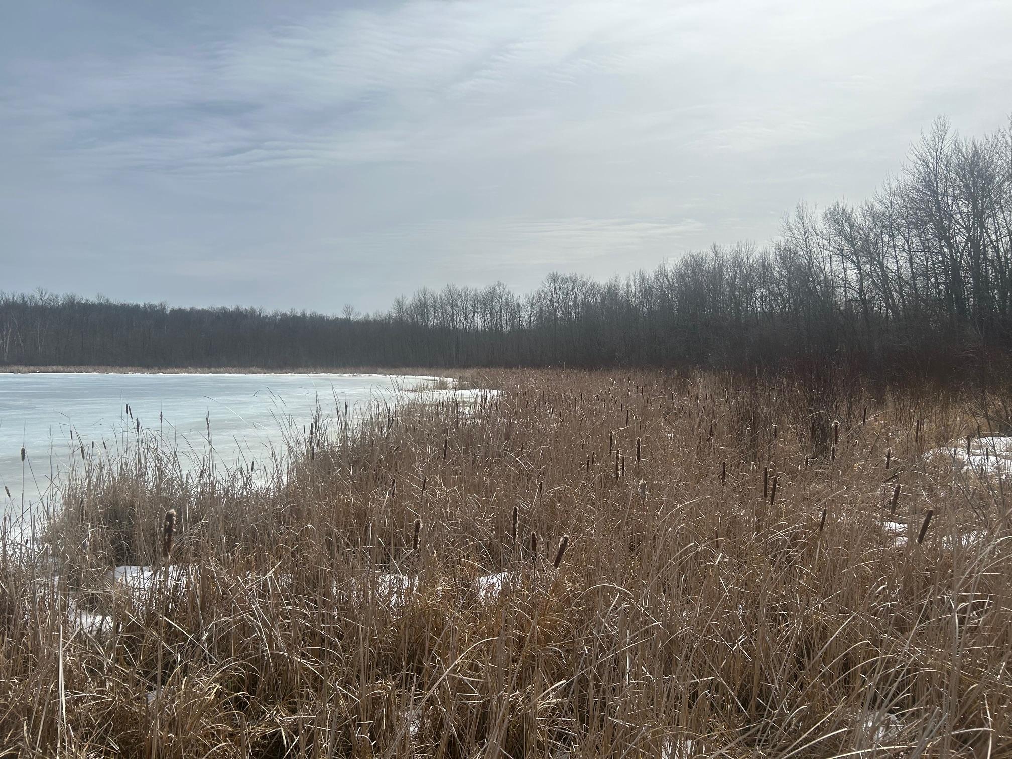 Tbd Tbd Property Photo 6