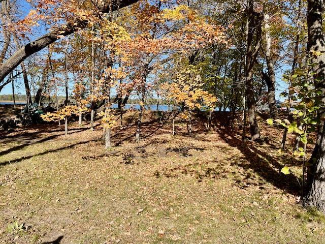 31281 Brightwood Shore Drive Property Photo 15