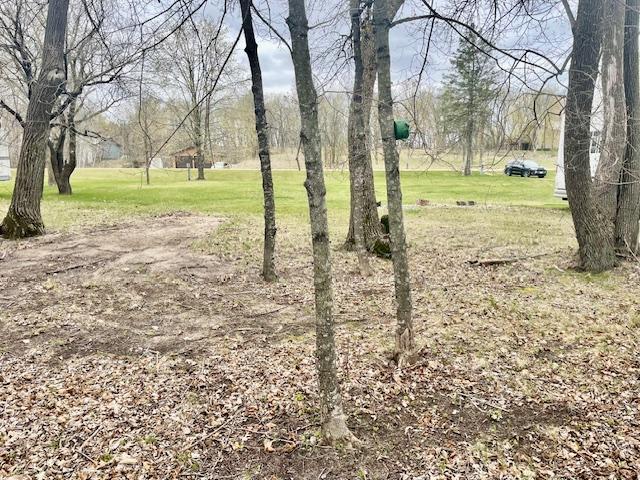 31281 Brightwood Shore Drive Property Photo 33