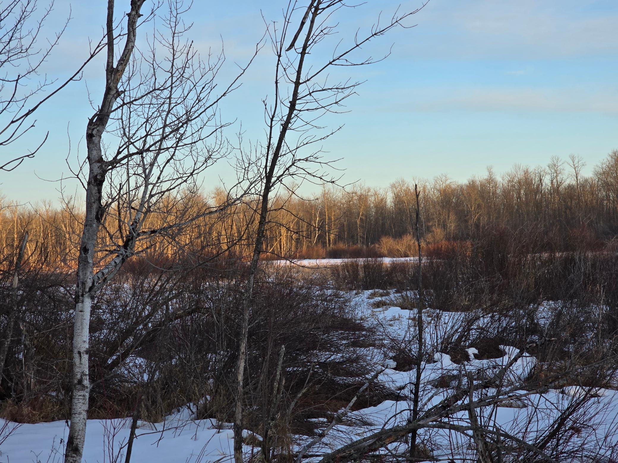 Tbd Highway 47 Property Photo 1