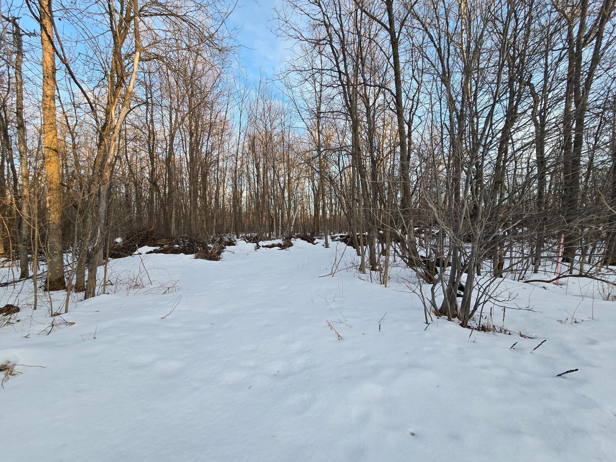 Tbd Highway 47 Property Photo 10