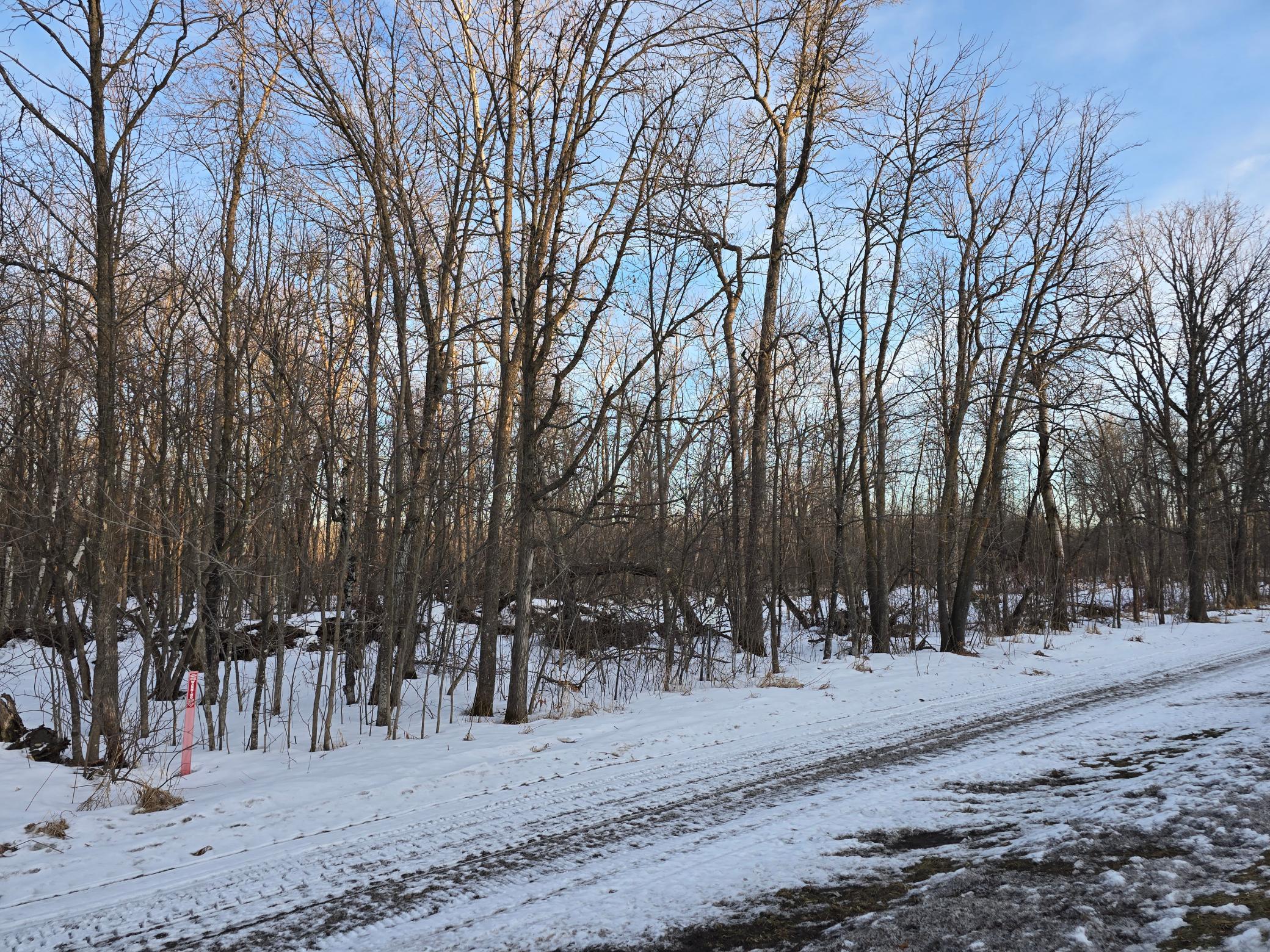Tbd Highway 47 Property Photo 12