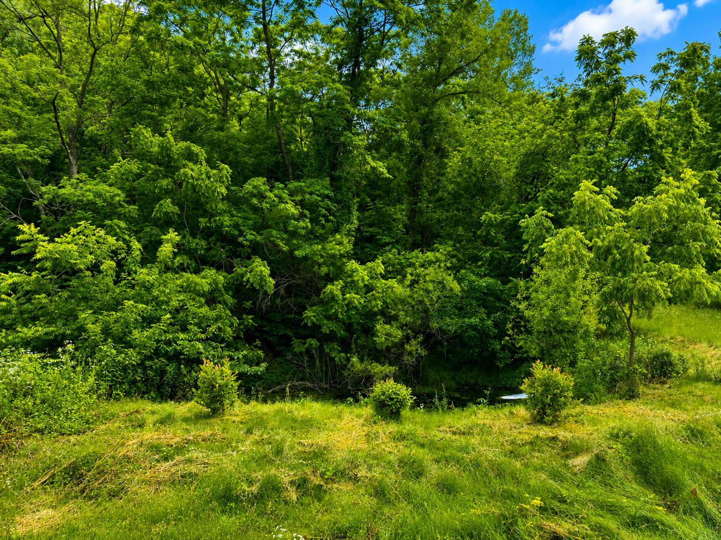 24345 E Burns Valley Road Property Photo 4