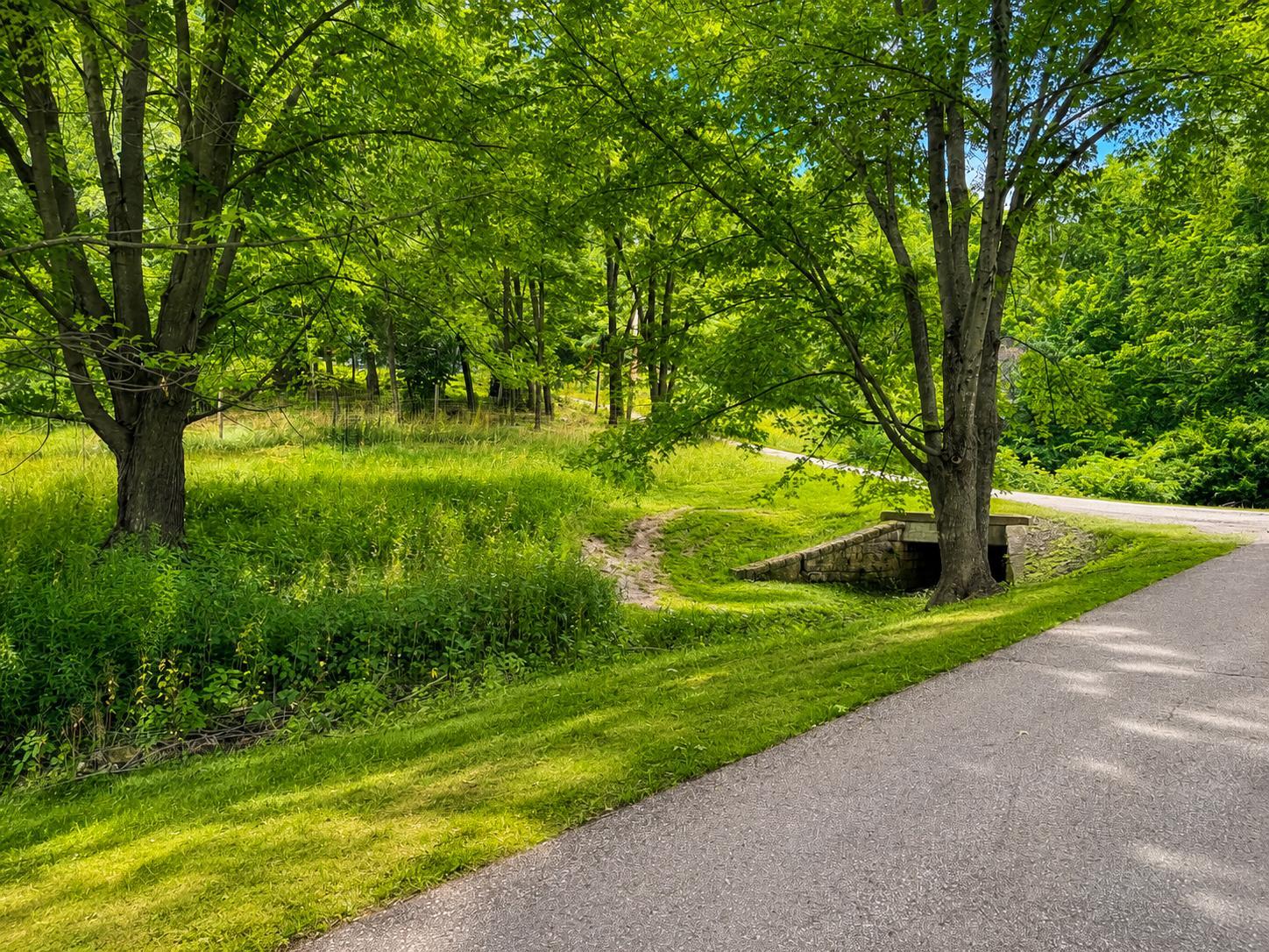 24345 E Burns Valley Road Property Photo 5