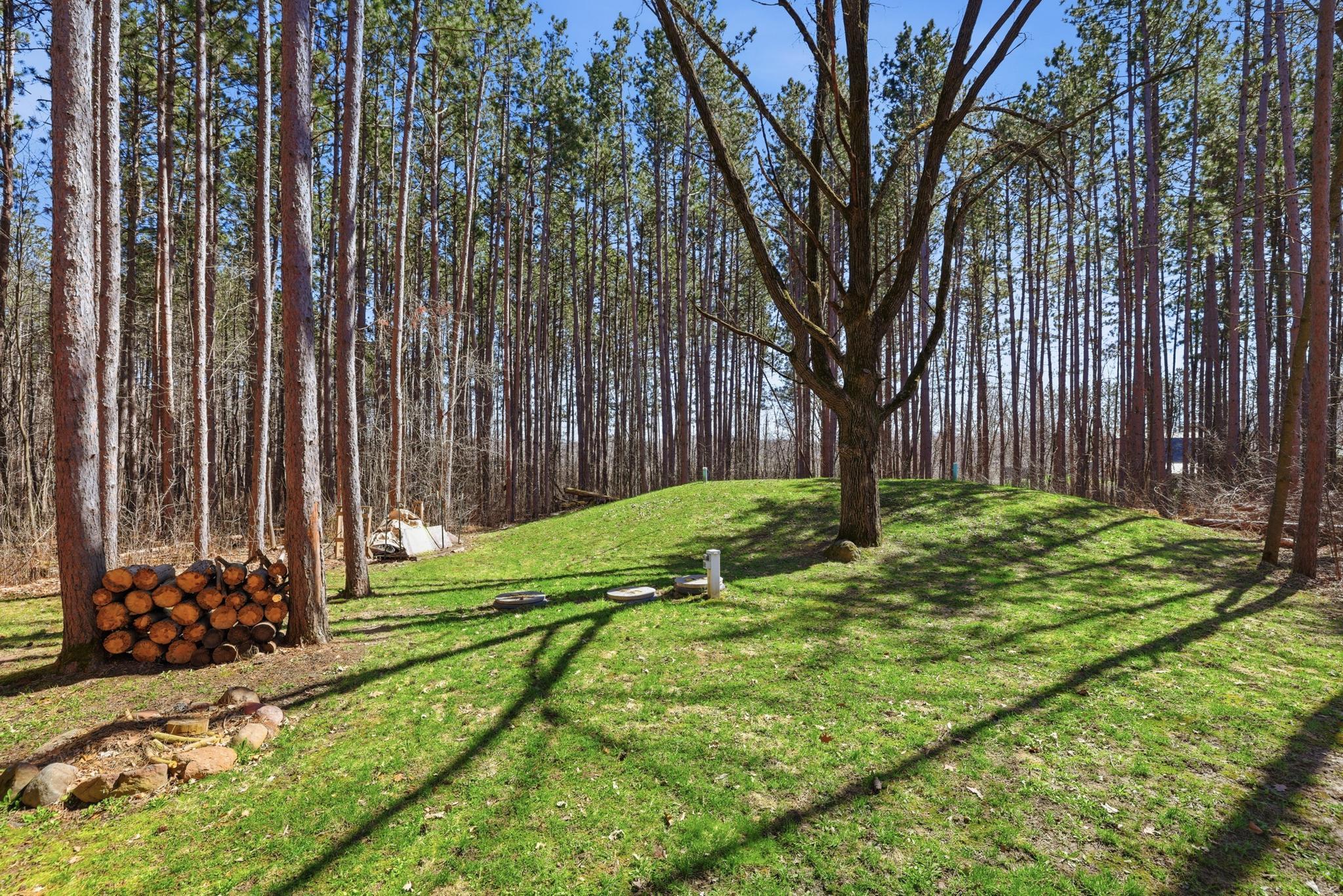 2633 Pine Lane Property Photo 23