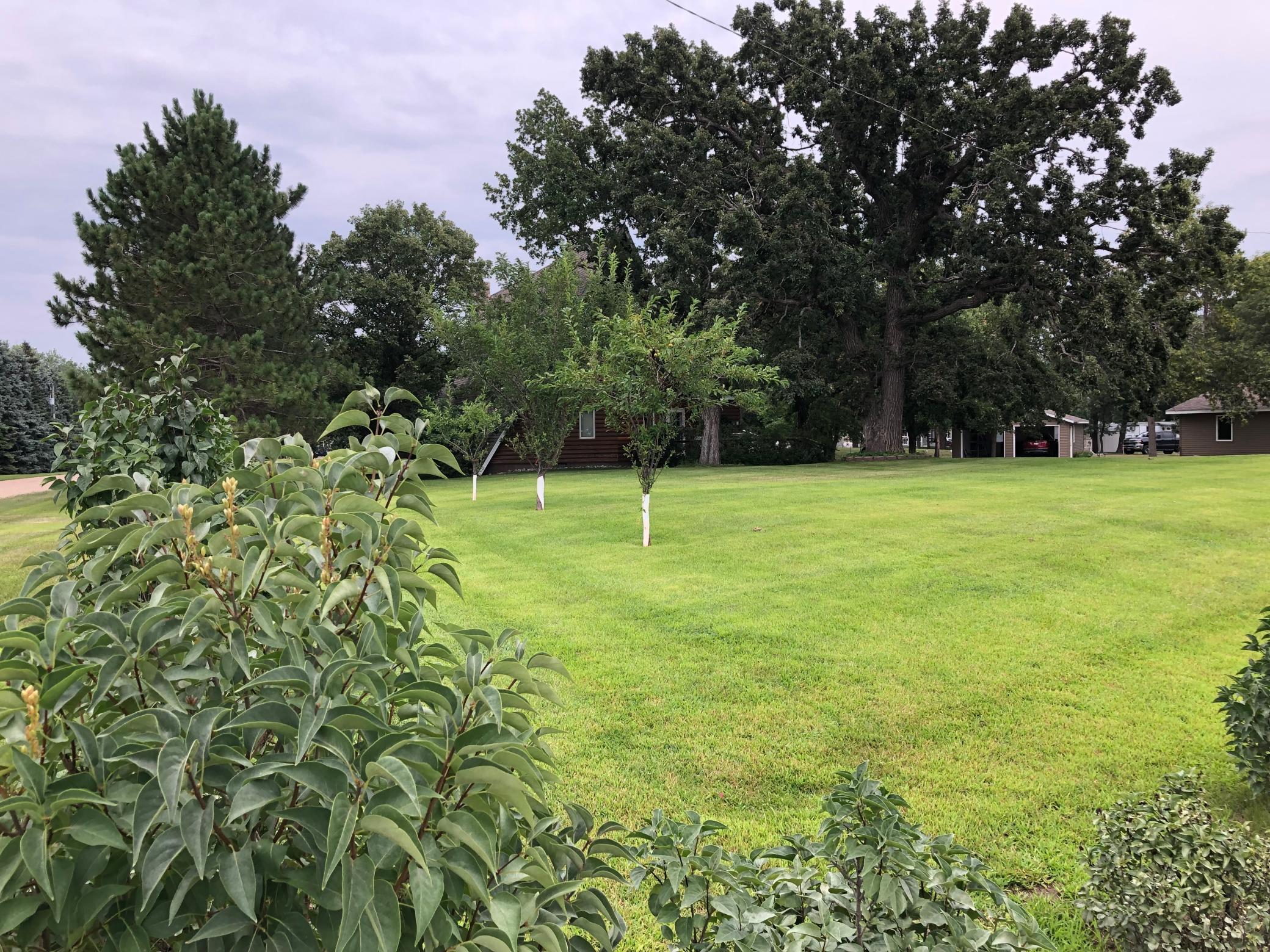 26455 State Highway 78 Property Photo 29