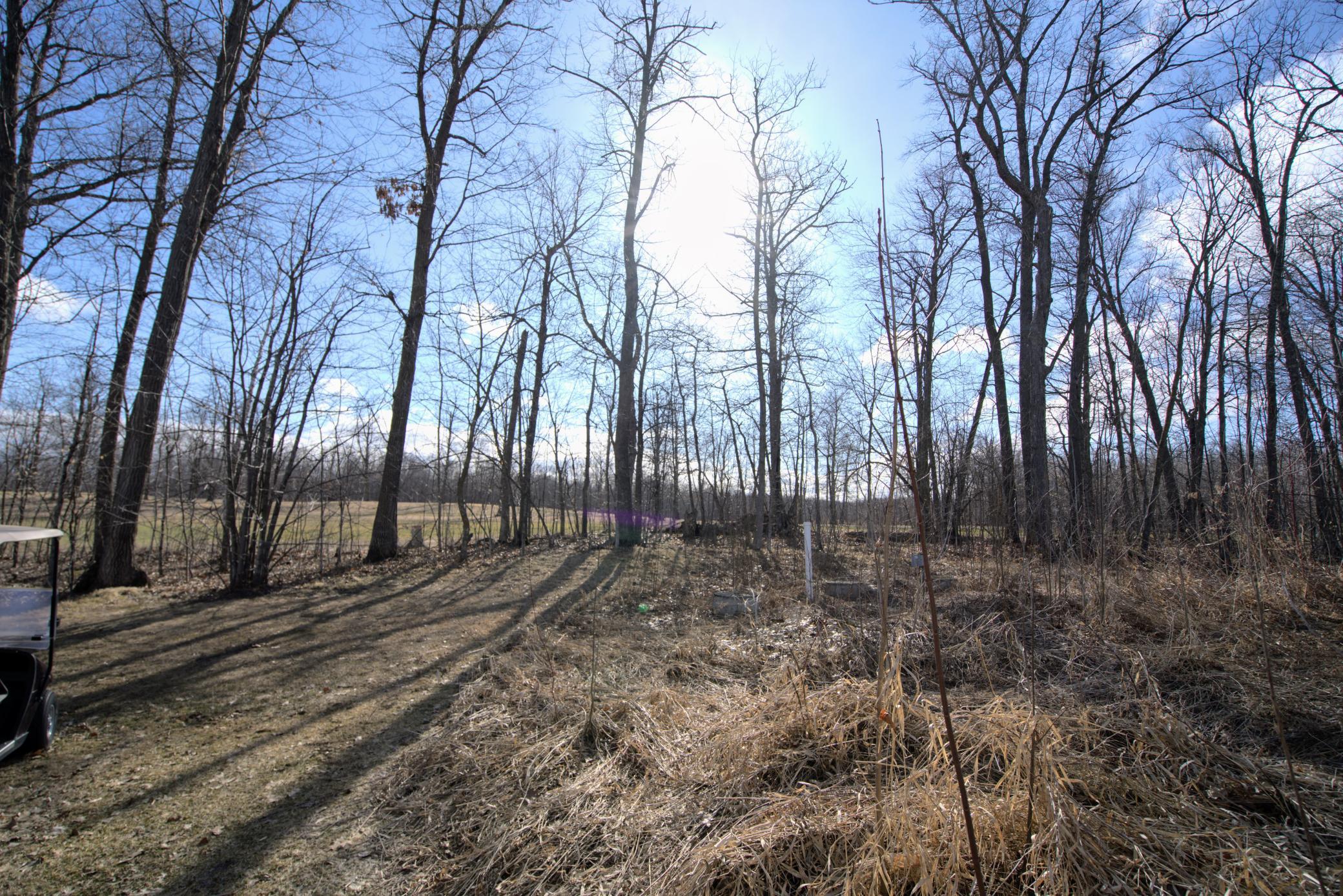 40491 Par Five Drive Property Photo 19