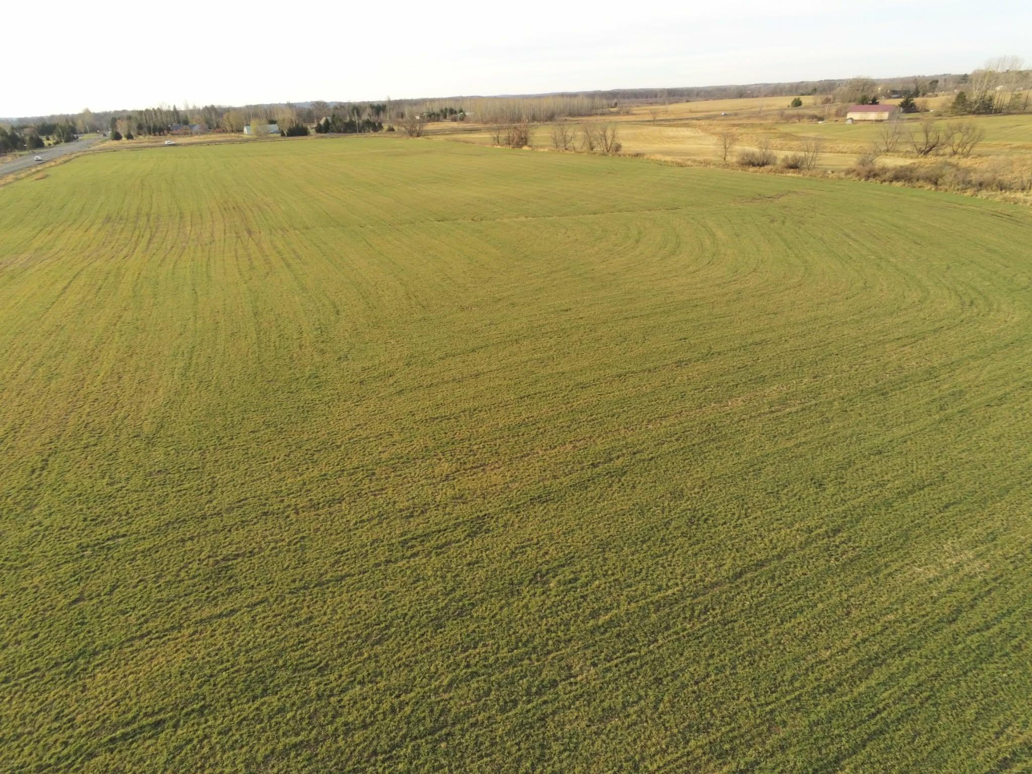 Lot 1 Rush Lake Trail Property Photo 6
