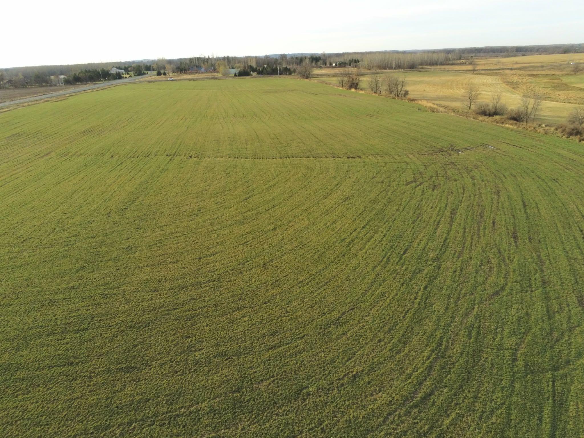 Lot 1 Rush Lake Trail Property Photo 9