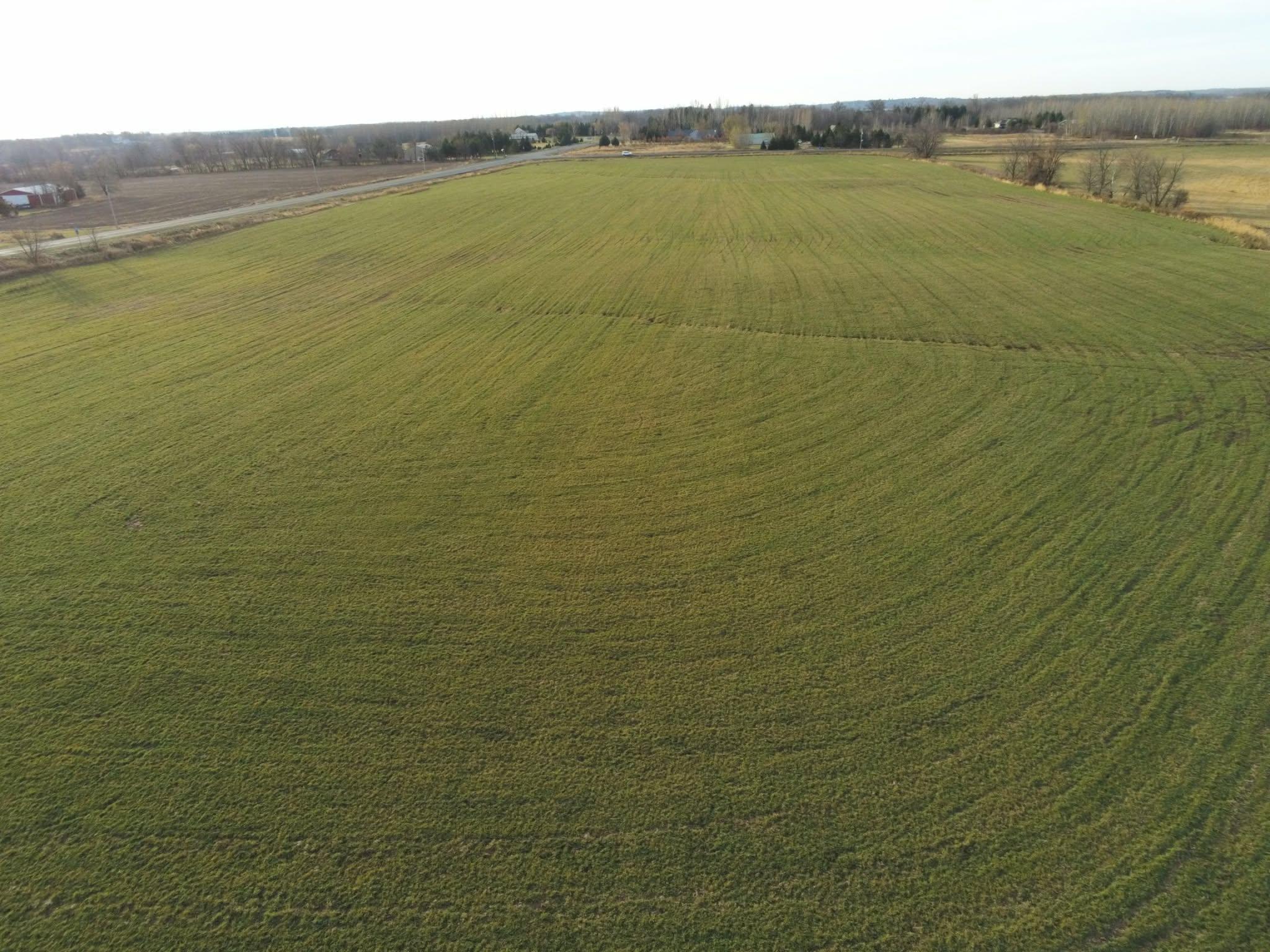 Lot 1 Rush Lake Trail Property Photo 10