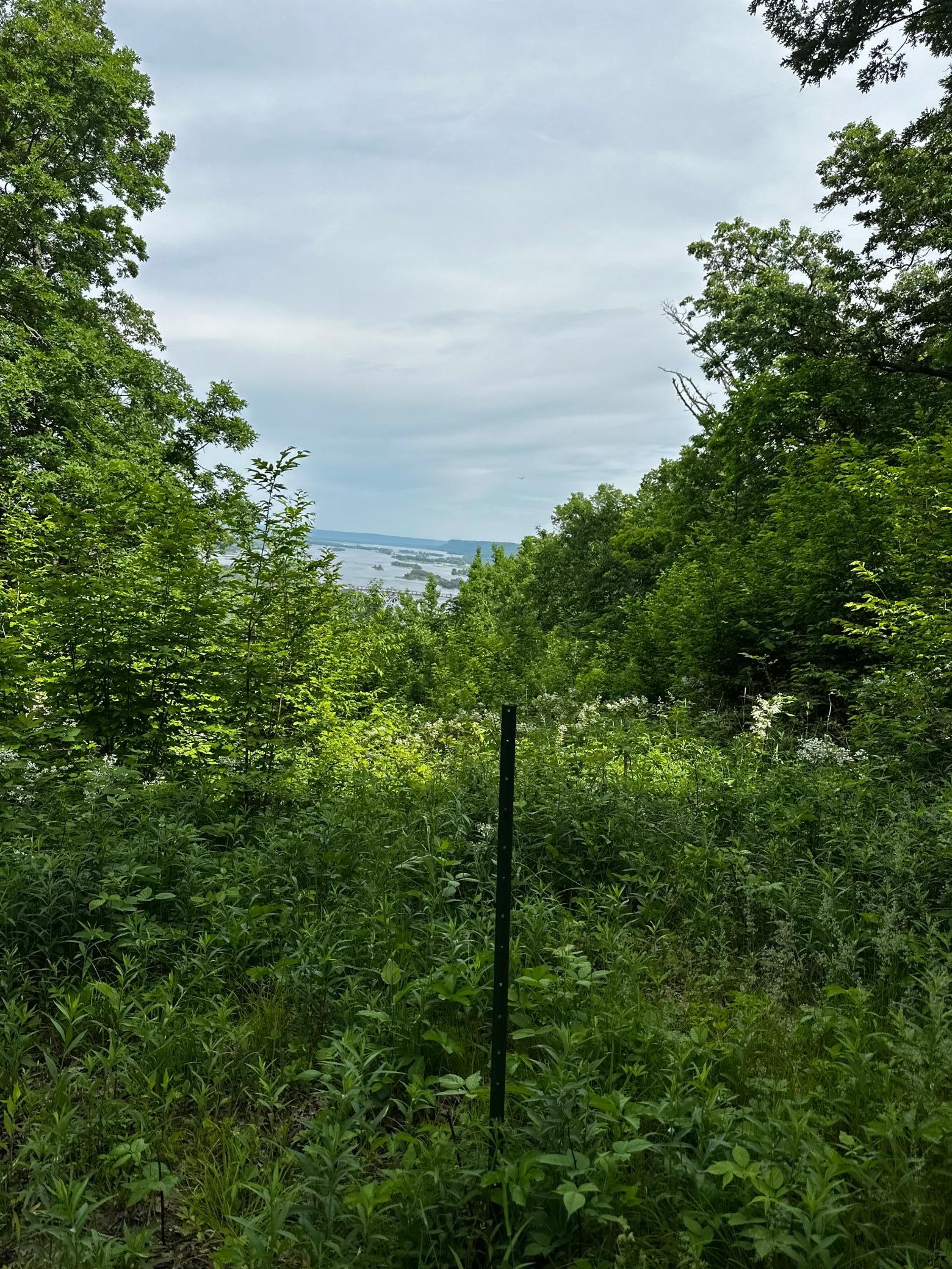 Lot 1 Alma Hills Property Photo 1