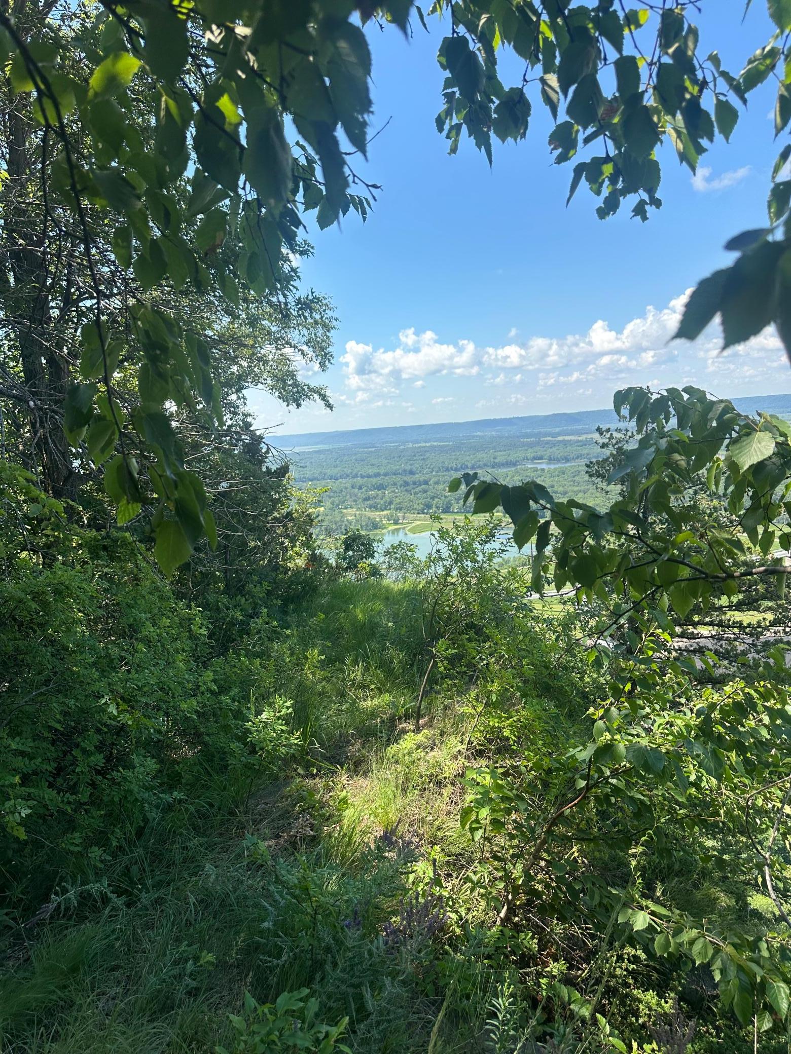 Lot 1 Alma Hills Property Photo 4