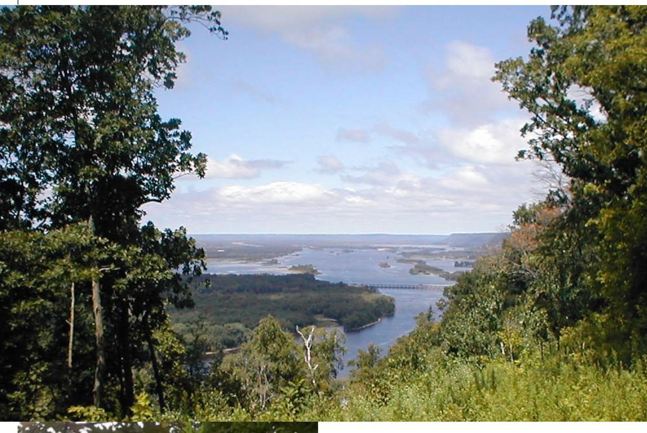 Lot 1 Alma Hills Property Photo 5