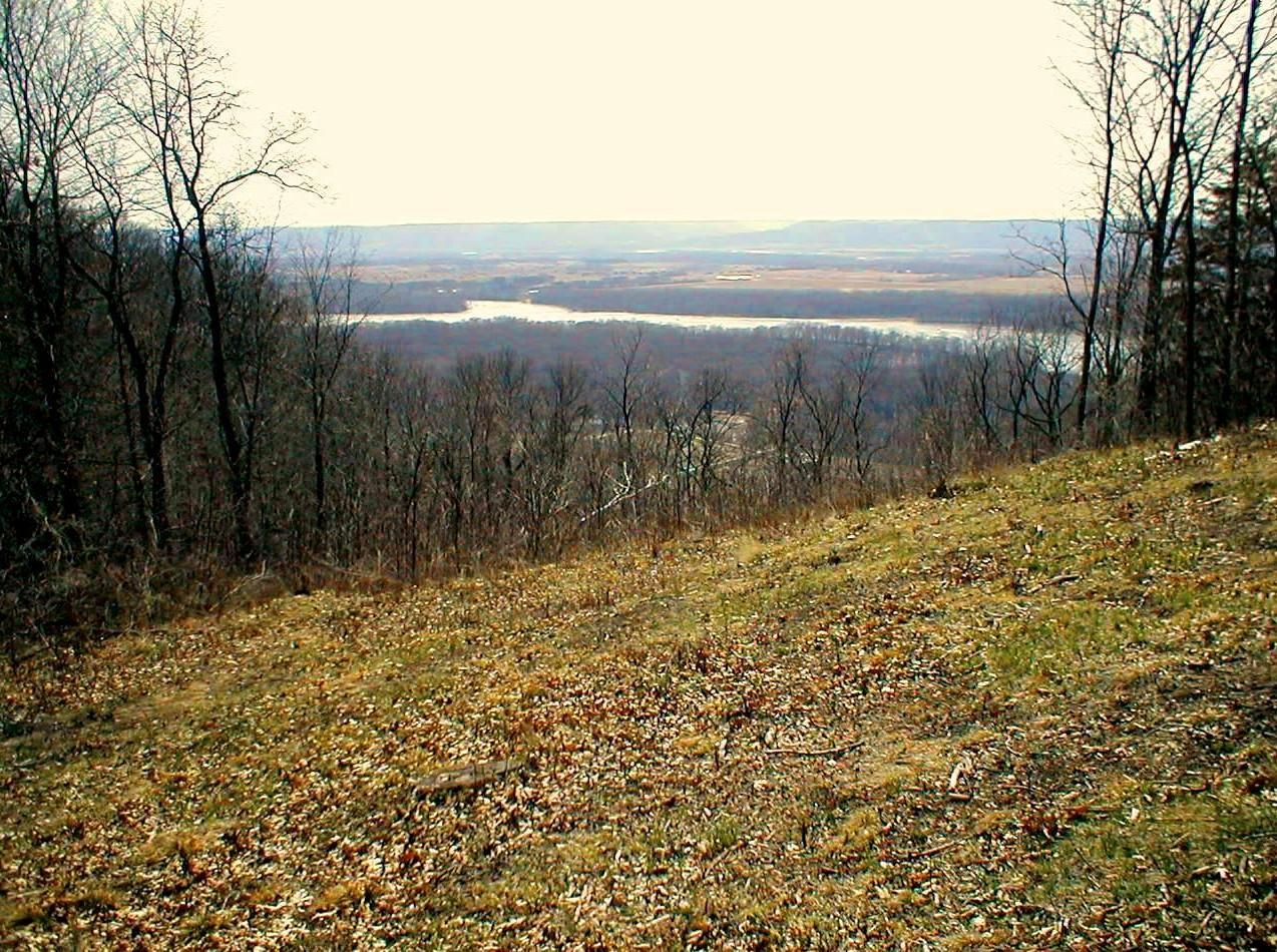 Lot 1 Alma Hills Property Photo 8