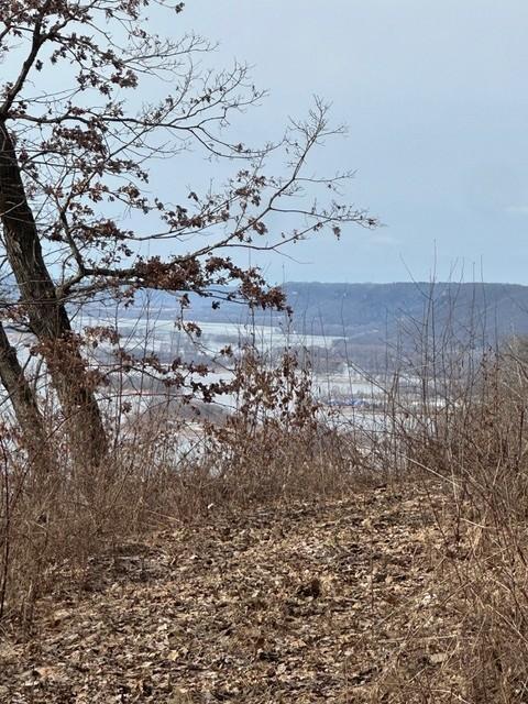 Lot 1 Alma Hills Property Photo 12
