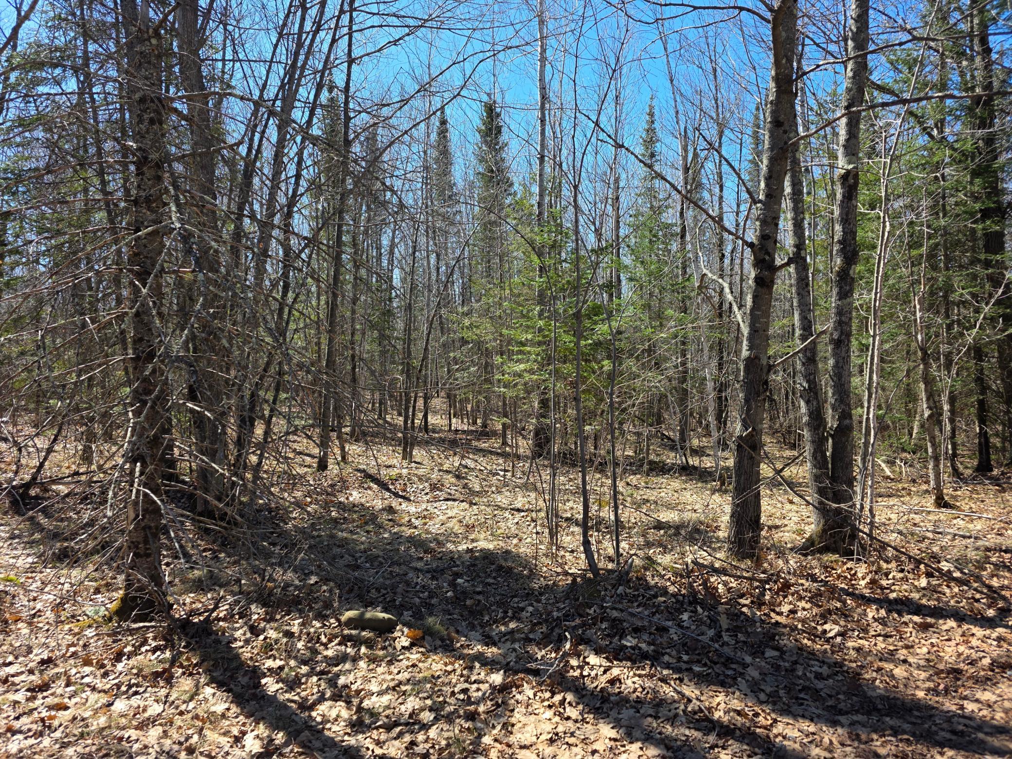 Tbd Stark Road Property Photo 1