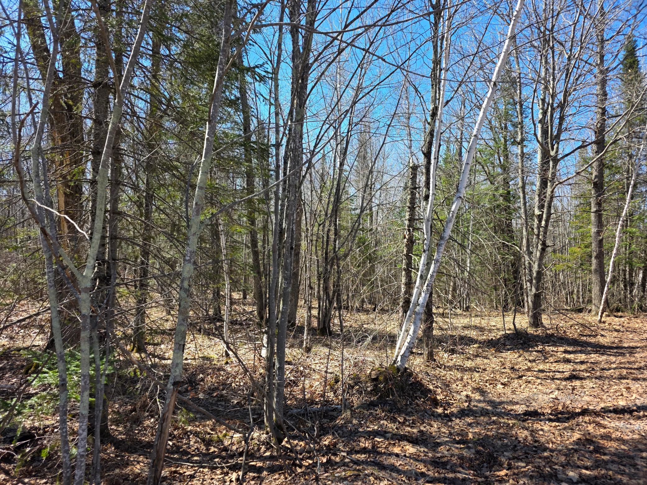 Tbd Stark Road Property Photo 3
