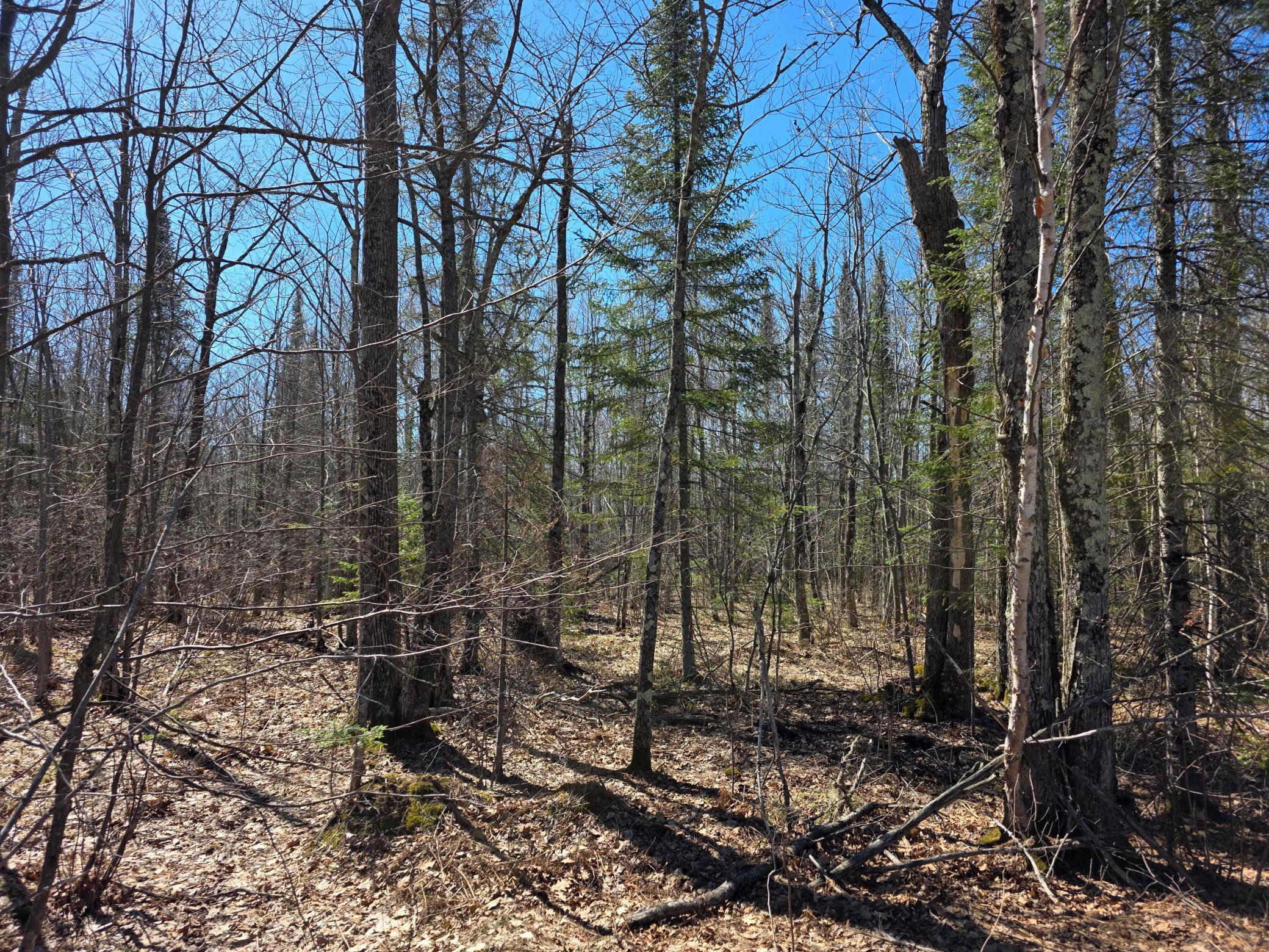 Tbd Stark Road Property Photo 4