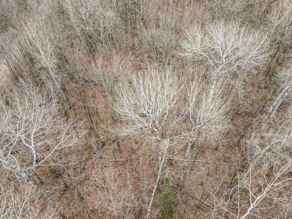 Tbd Stark Road Property Photo 7