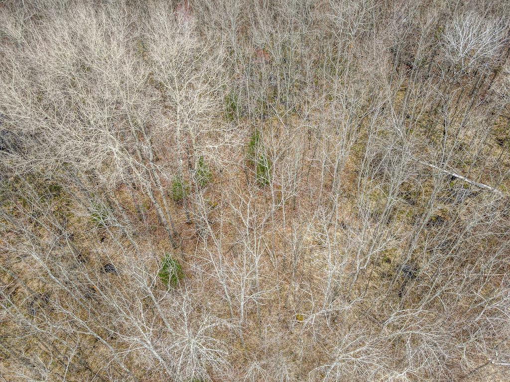 Tbd Stark Road Property Photo 8